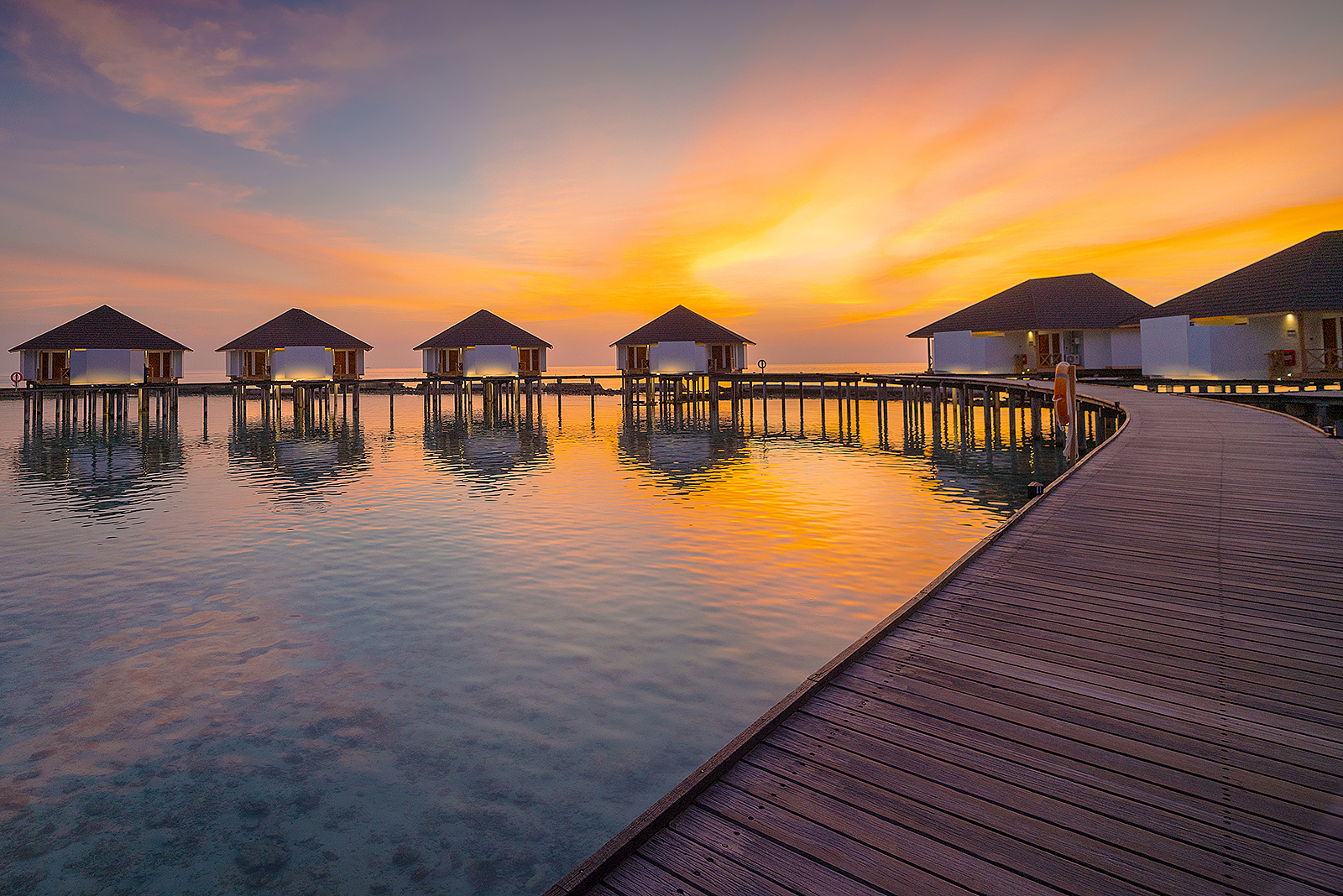 Акулы, Манты, Черепахи. Приключения на Мальдивах. Включая новогодние даты. (19/45)