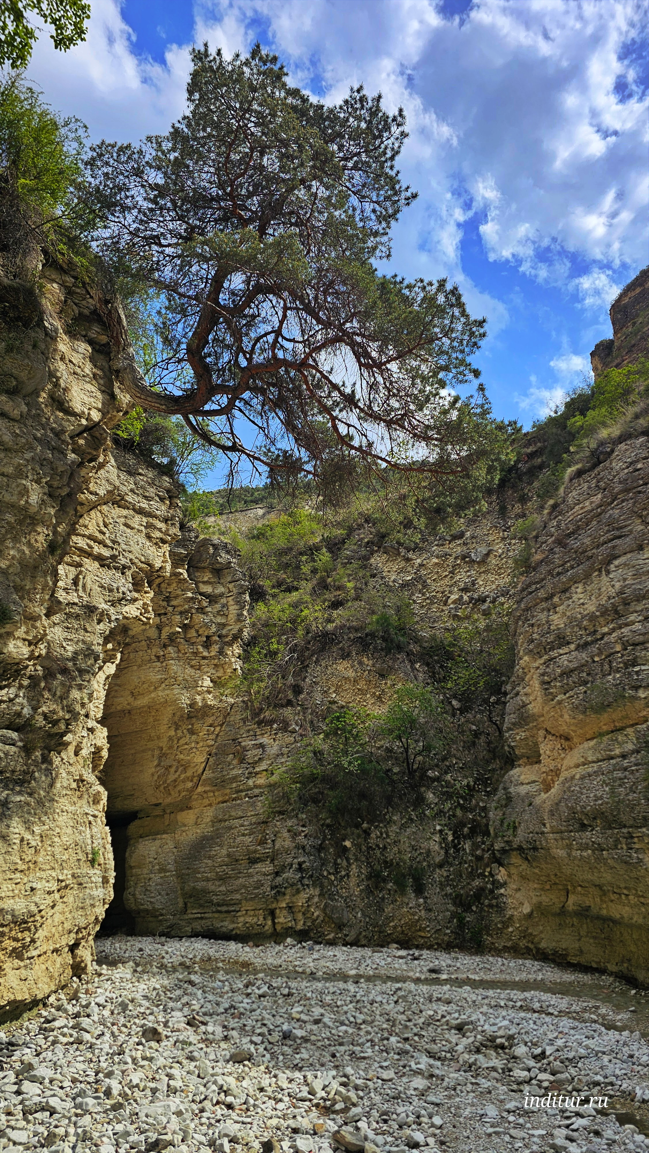 Аромат Индианы Джонса (147/180)