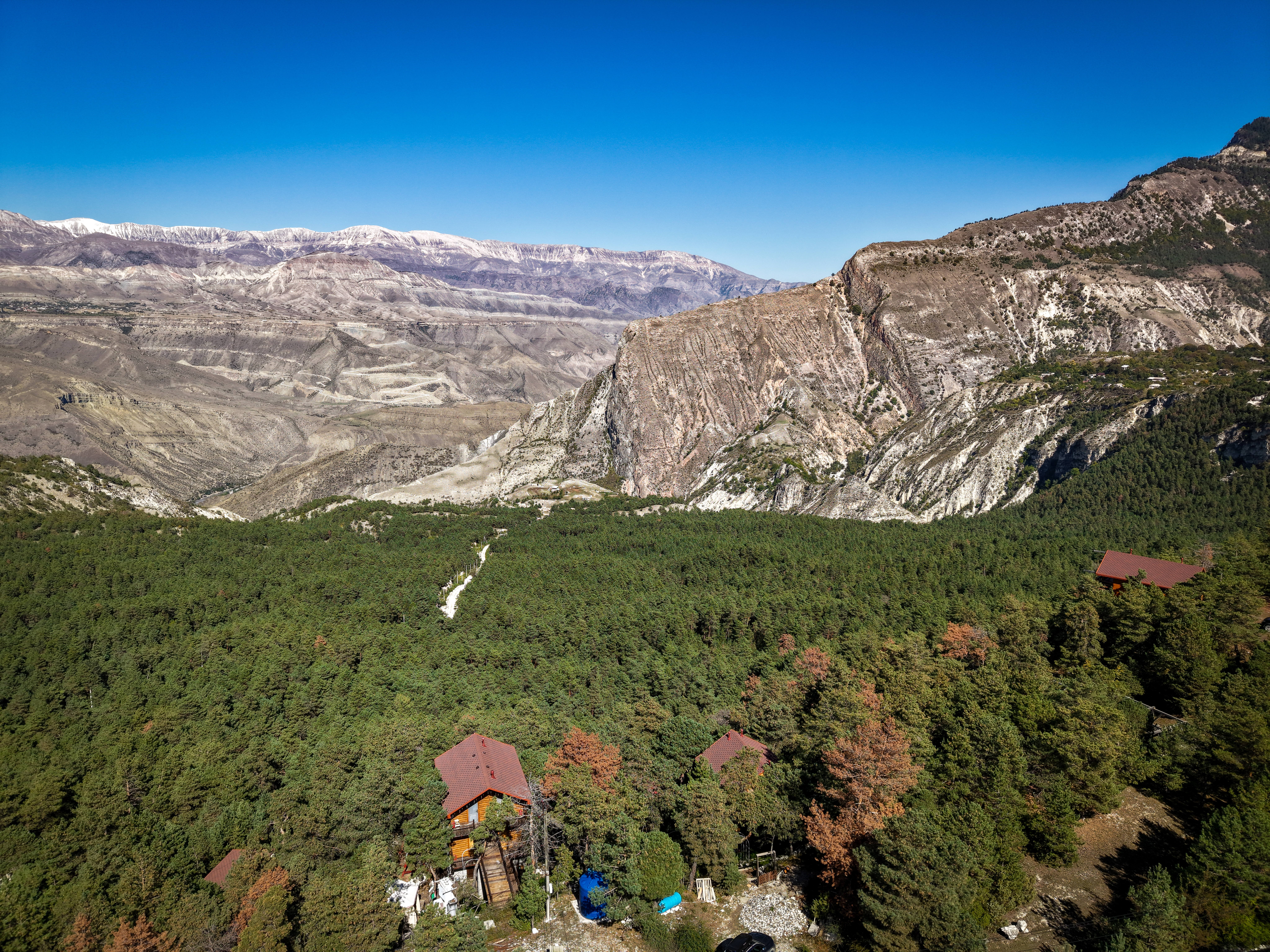 Аромат Индианы Джонса (131/180)