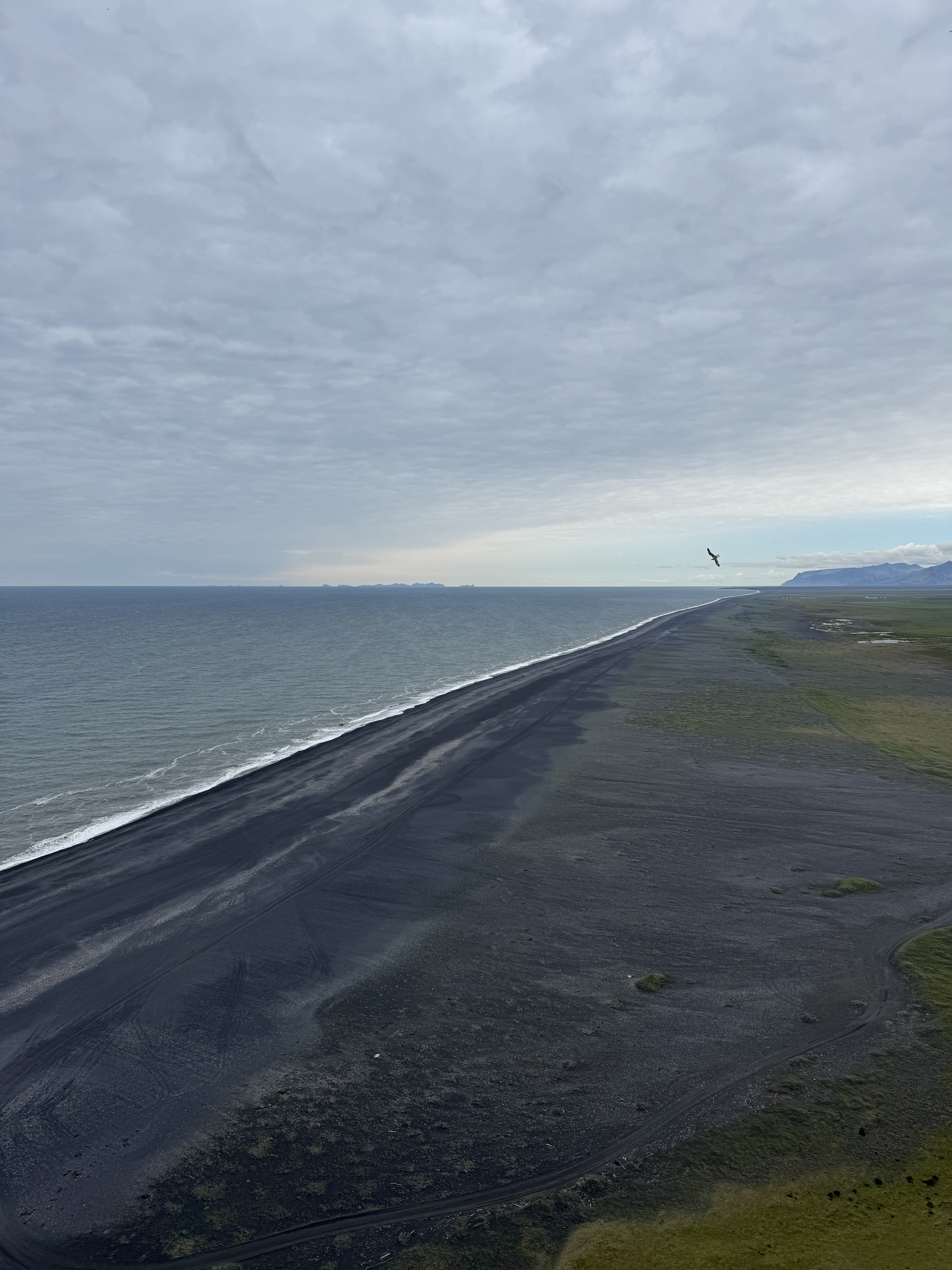 Исландия - путешествие в страну огня, льда и китов (36/71)