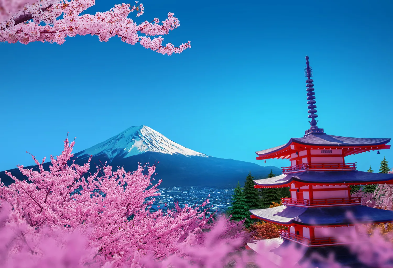 Япония: цветение сакуры. Тур-разведка.