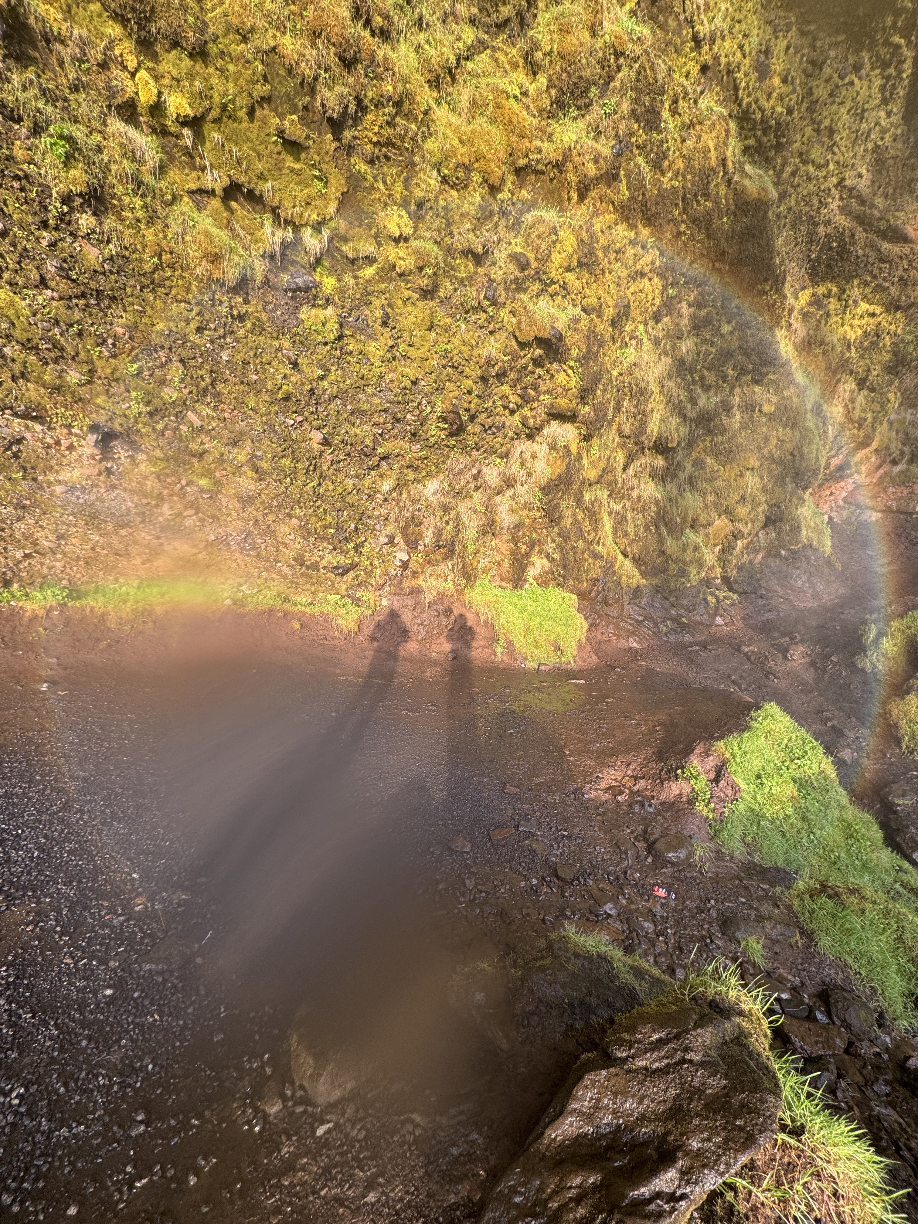 Исландия - путешествие в страну огня, льда и китов (44/71)