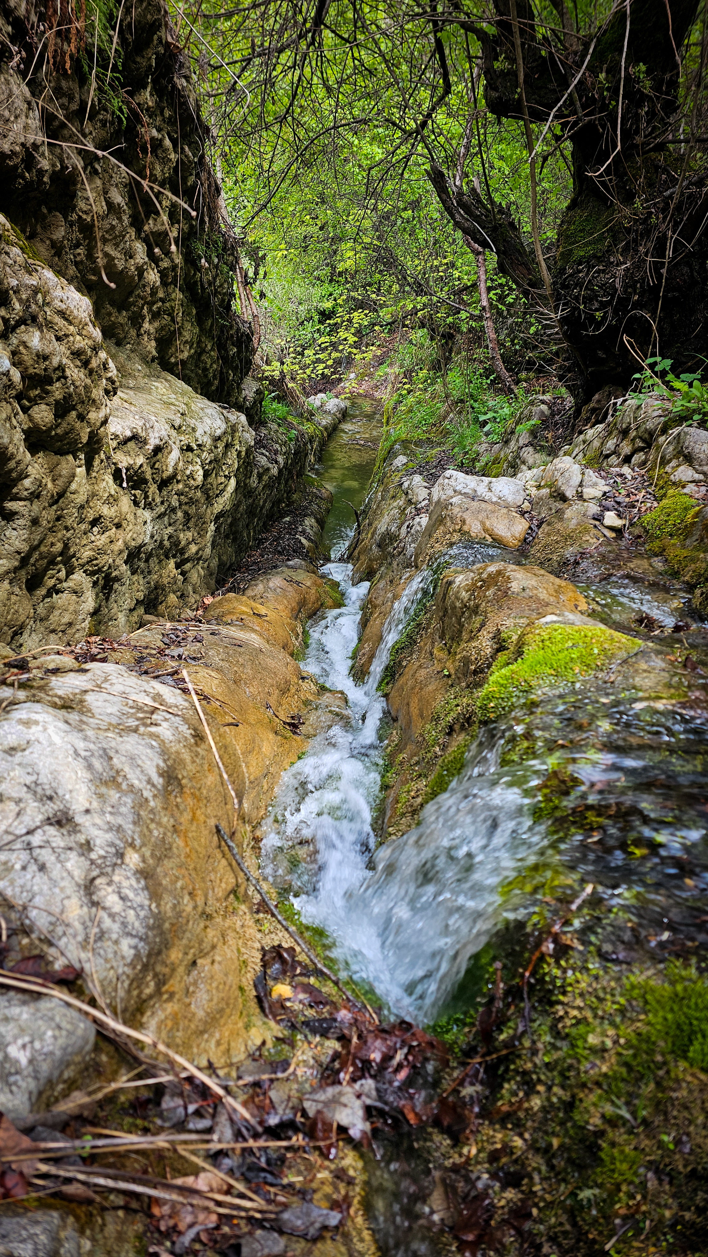 Дагестан. Горная Любовь 2 (52/98)