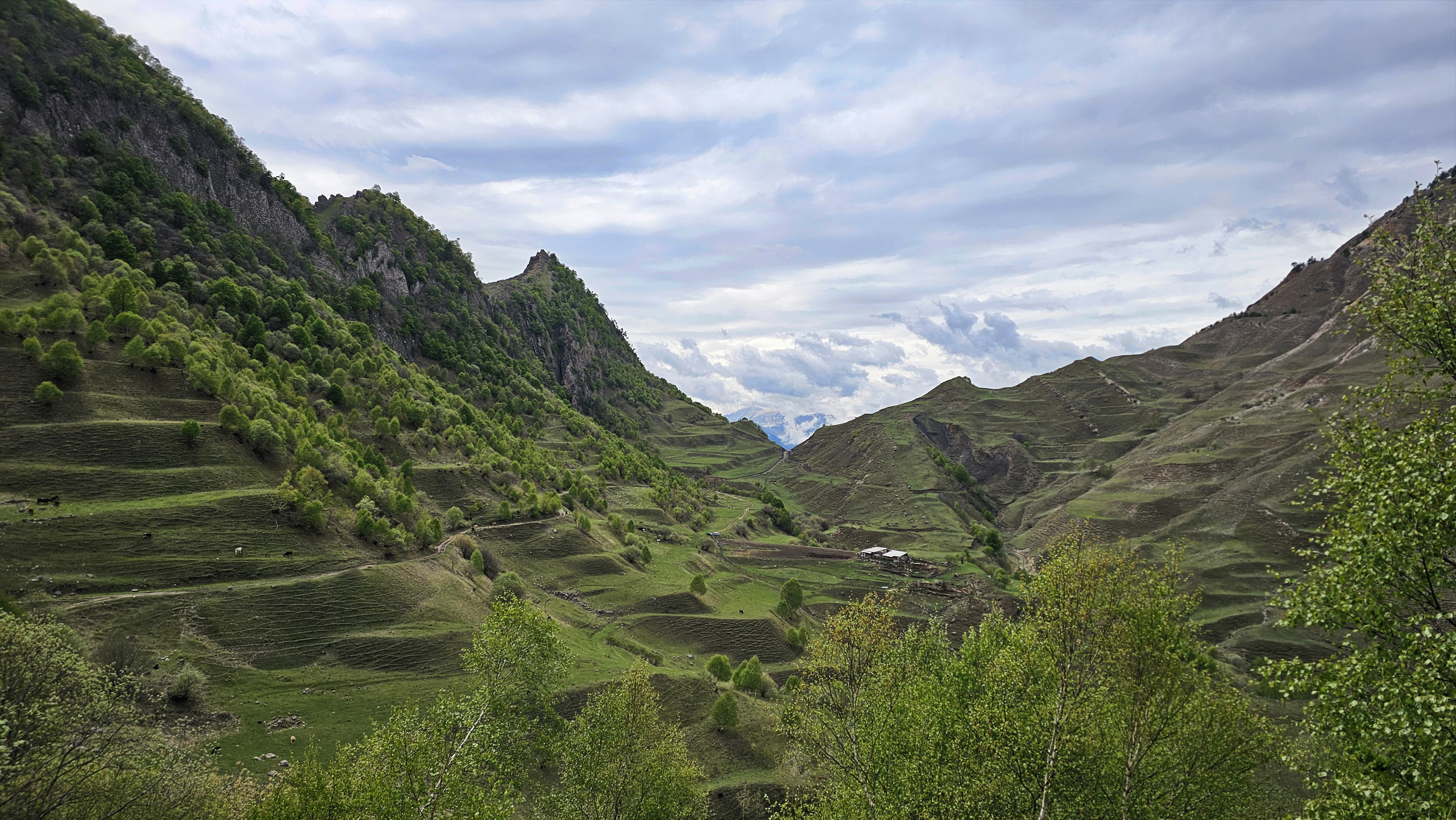 Аромат Индианы Джонса (155/180)