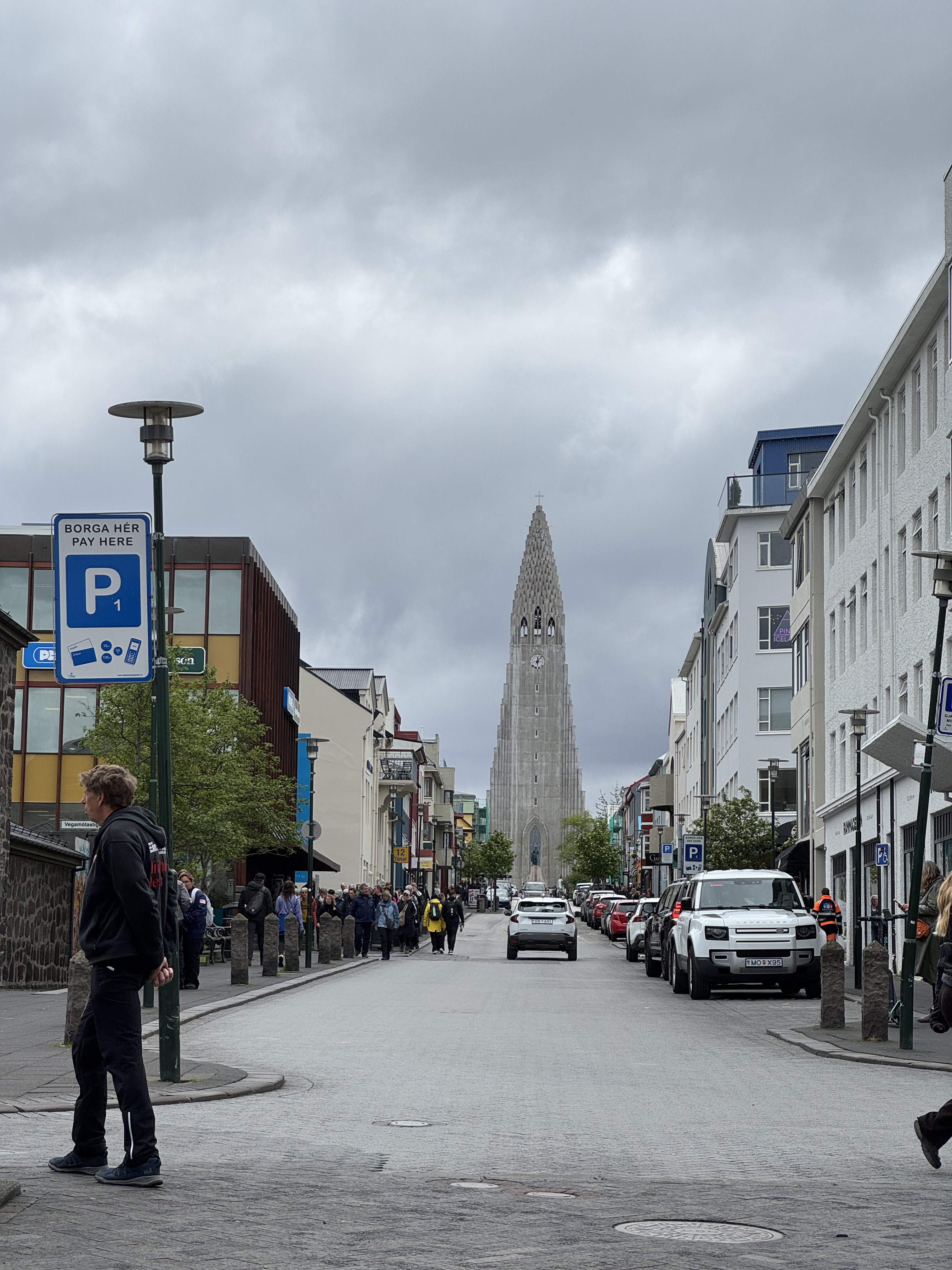 Исландия - путешествие в страну огня, льда и китов (66/71)