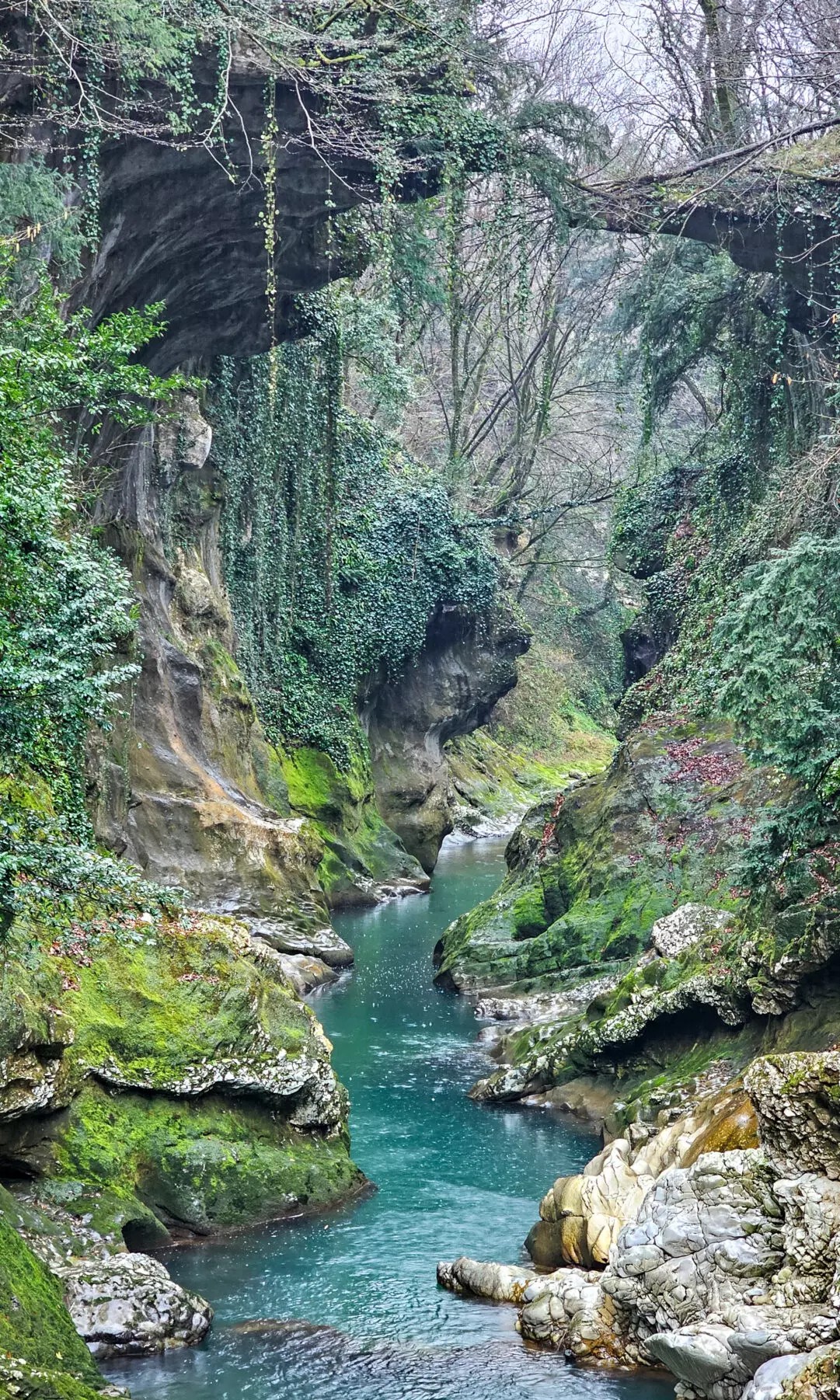 Грузия. Краски Сванетии. (88/90)