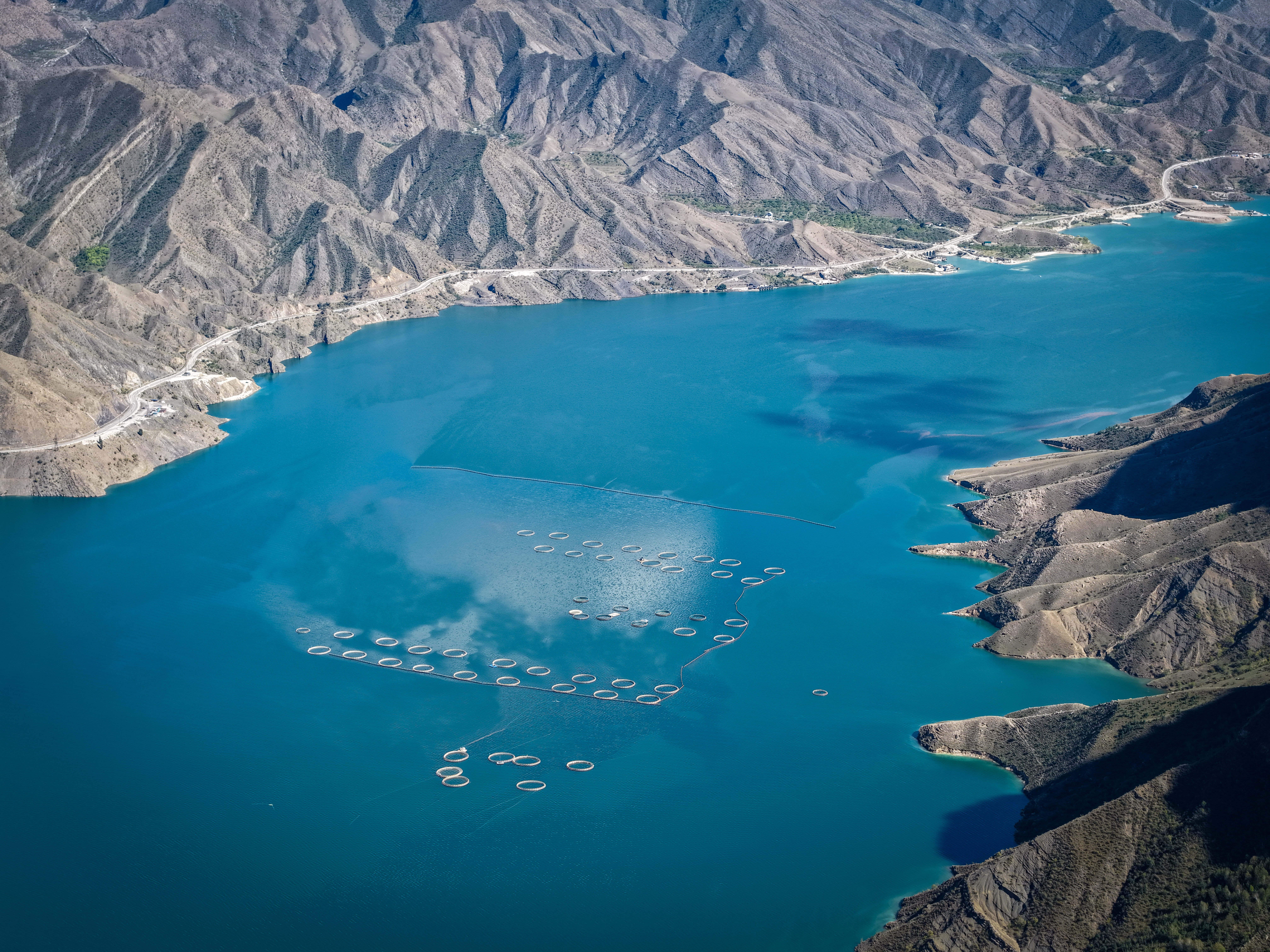 Аромат Индианы Джонса (136/180)