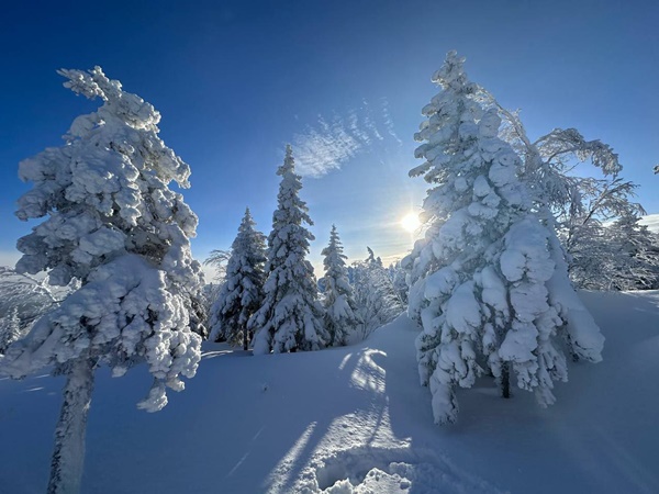 Зимний поход по национальному парку Таганай (4/12)