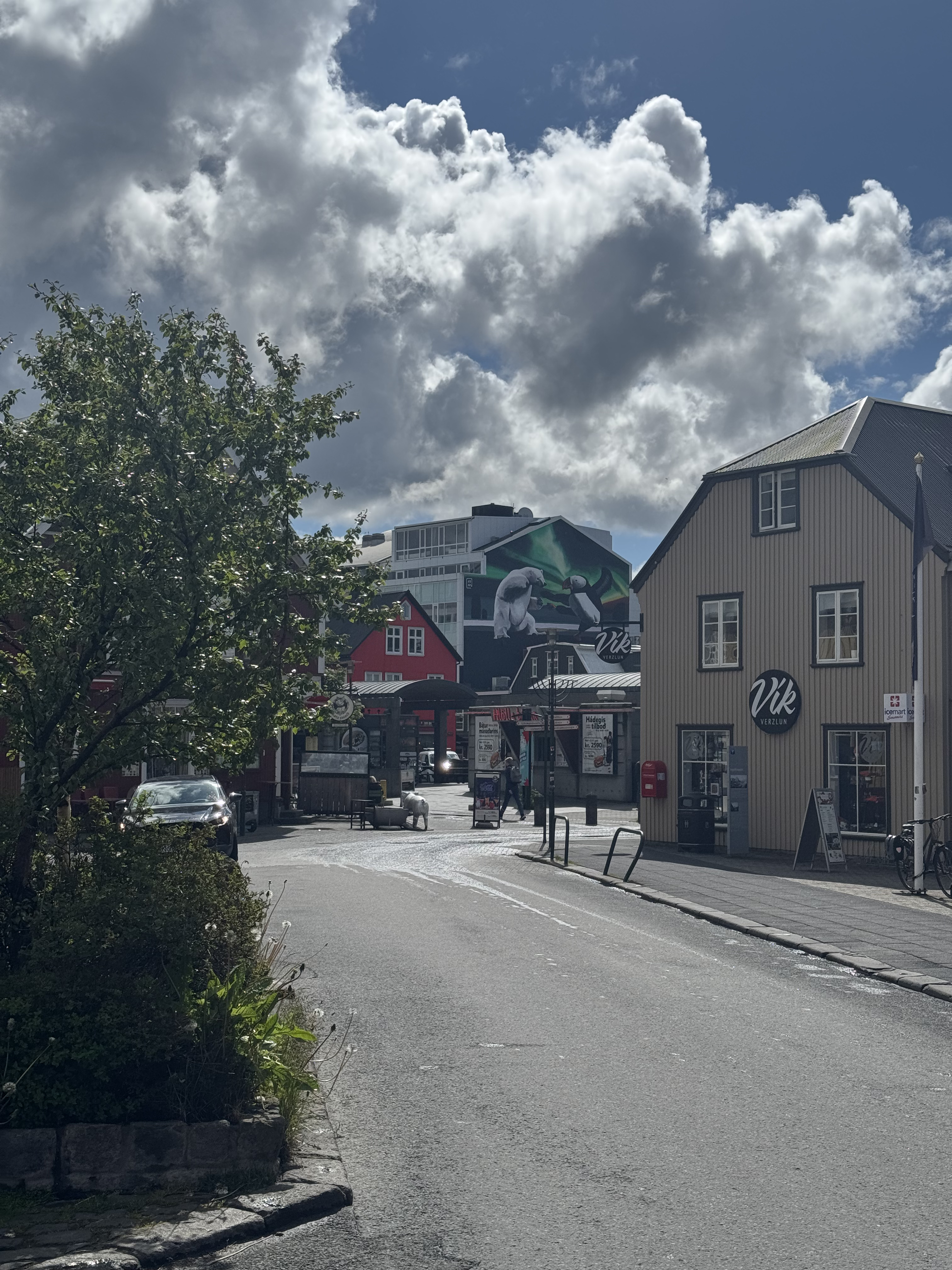 Исландия - путешествие в страну огня, льда и китов (27/71)