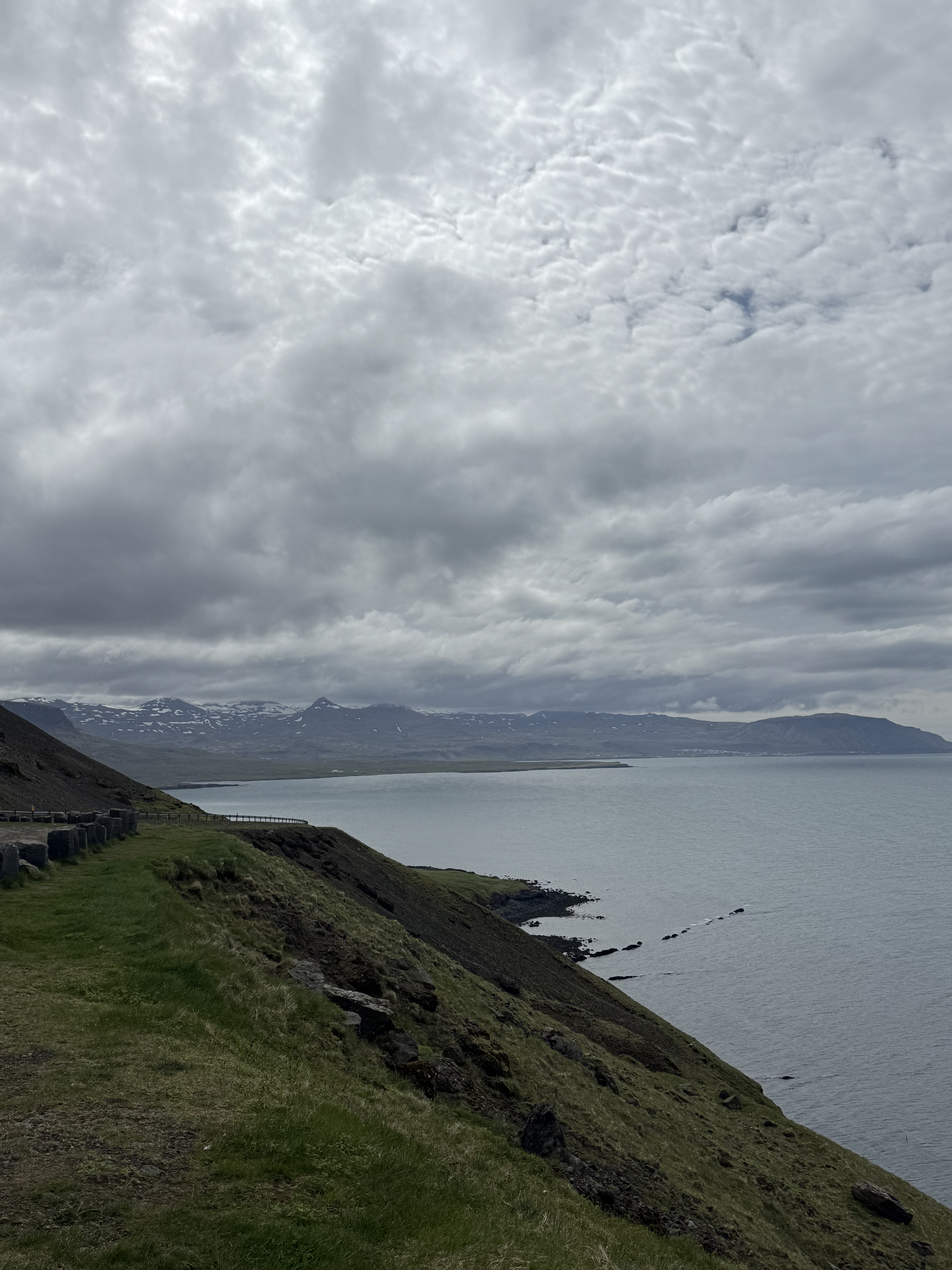 Исландия - путешествие в страну огня, льда и китов (24/71)