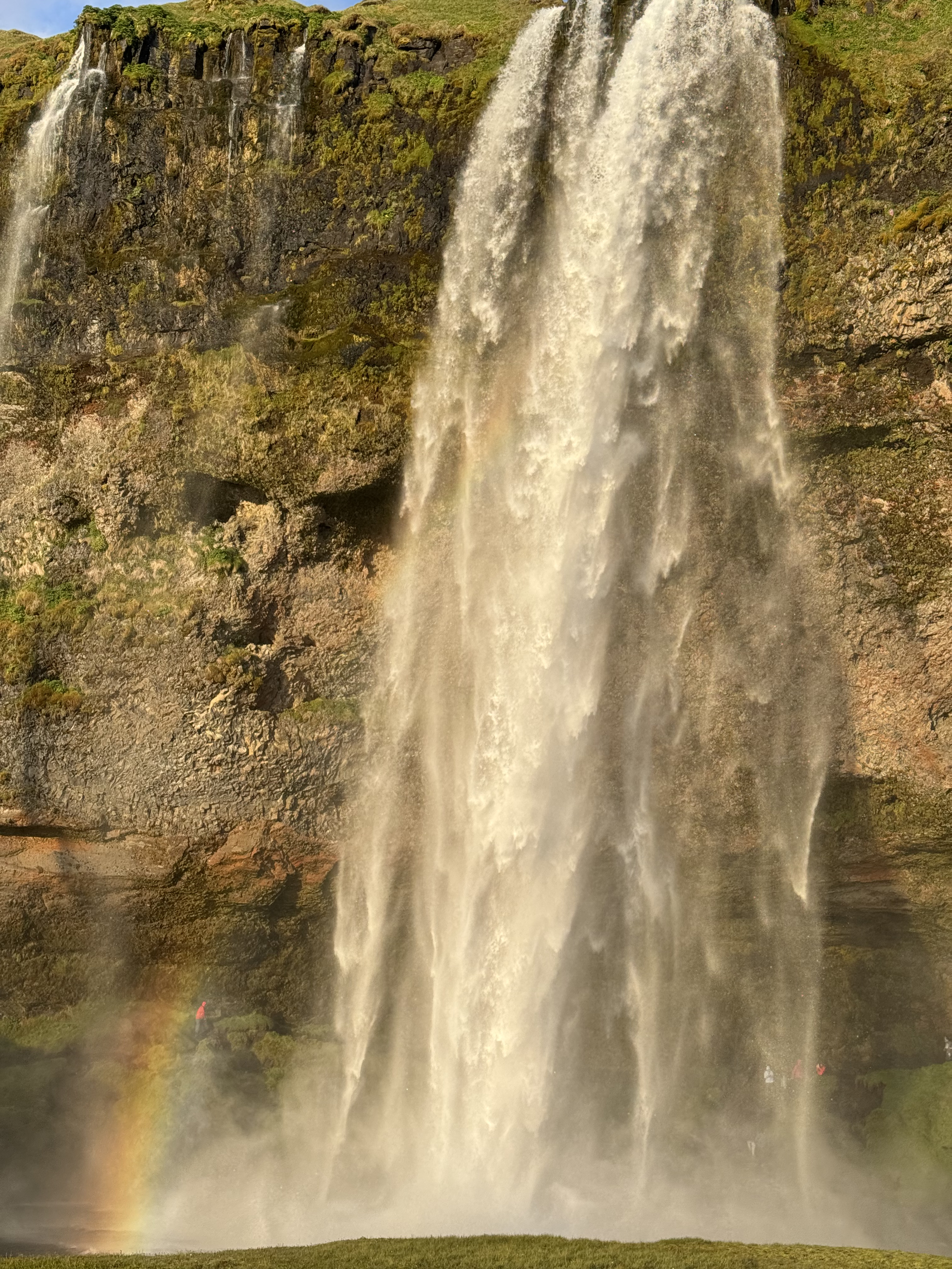 Исландия - путешествие в страну огня, льда и китов (5/71)