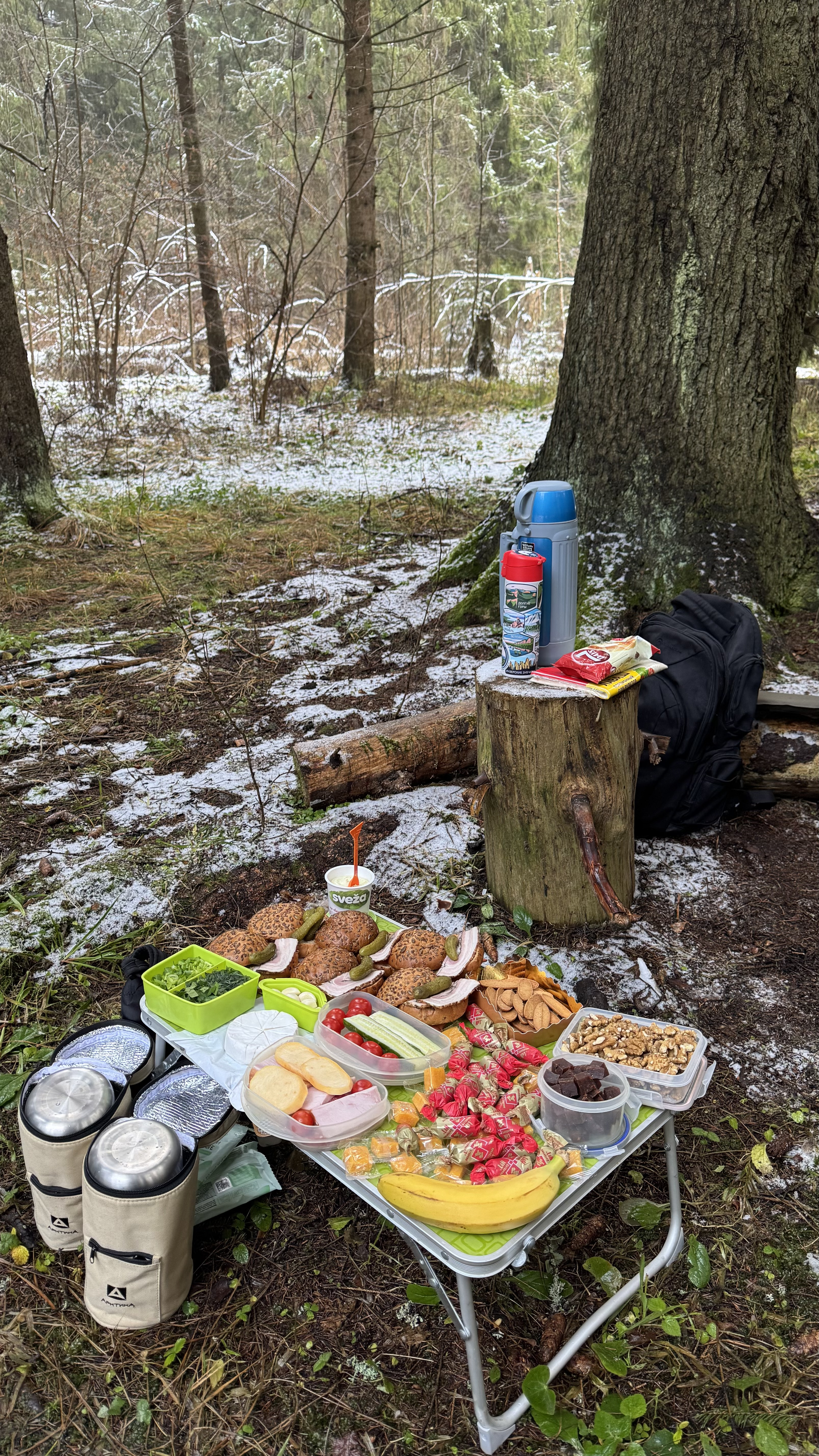 Поход К хорькам и соболям с биологом, Черноголовка (18/18)