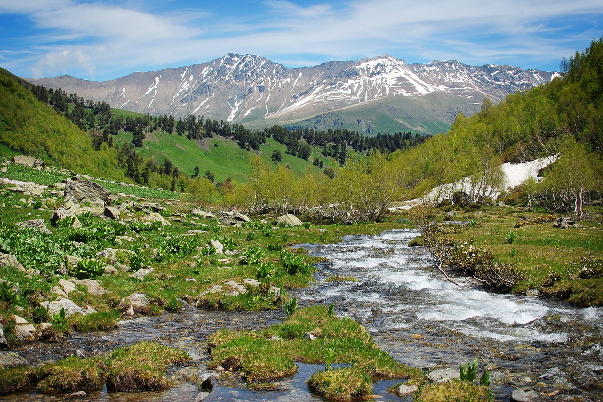 Трекинг-тур Цветущие склоны Архыза. Размещение в отеле (8/40)