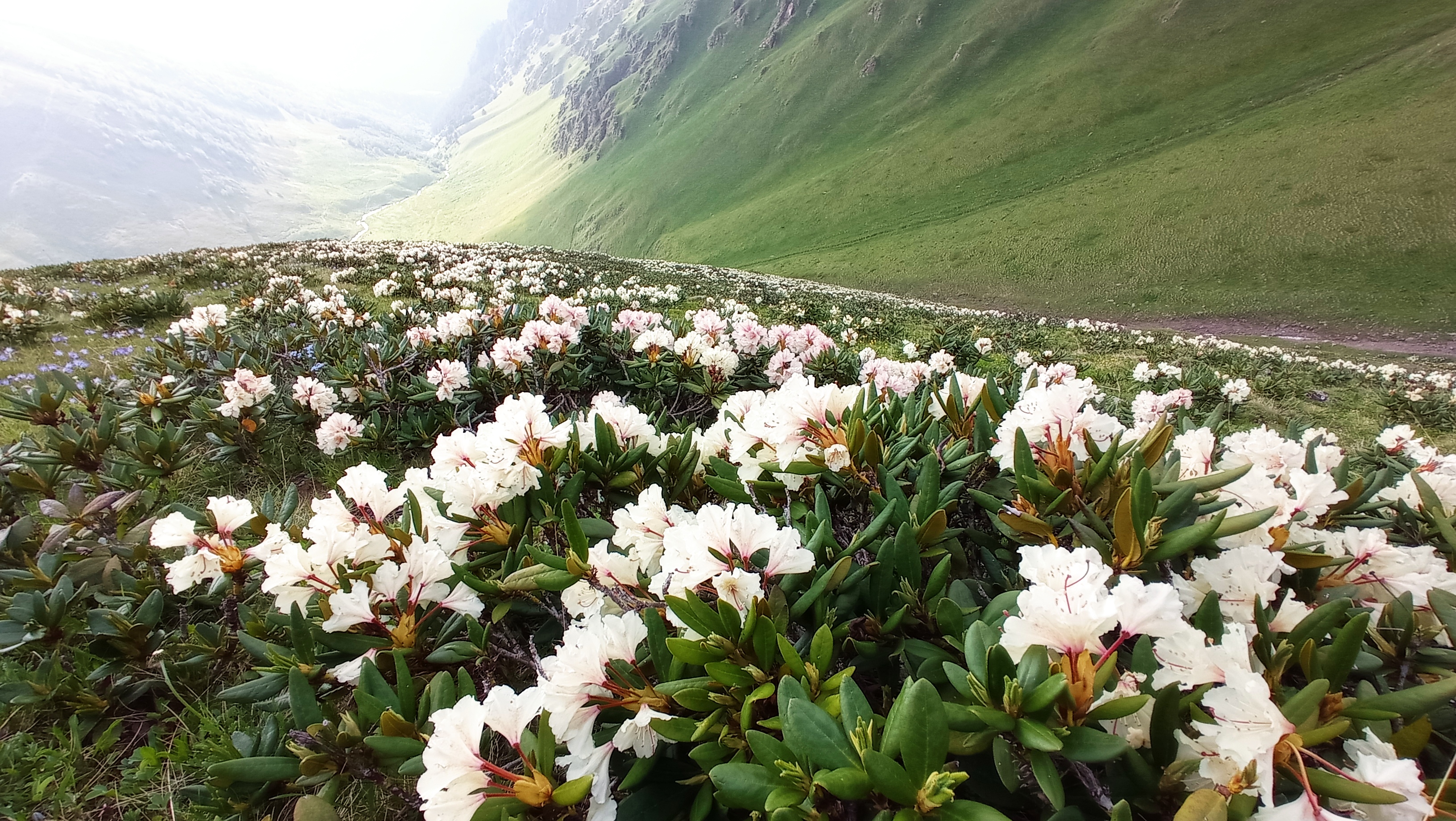 Поход с комфортом по Архызу