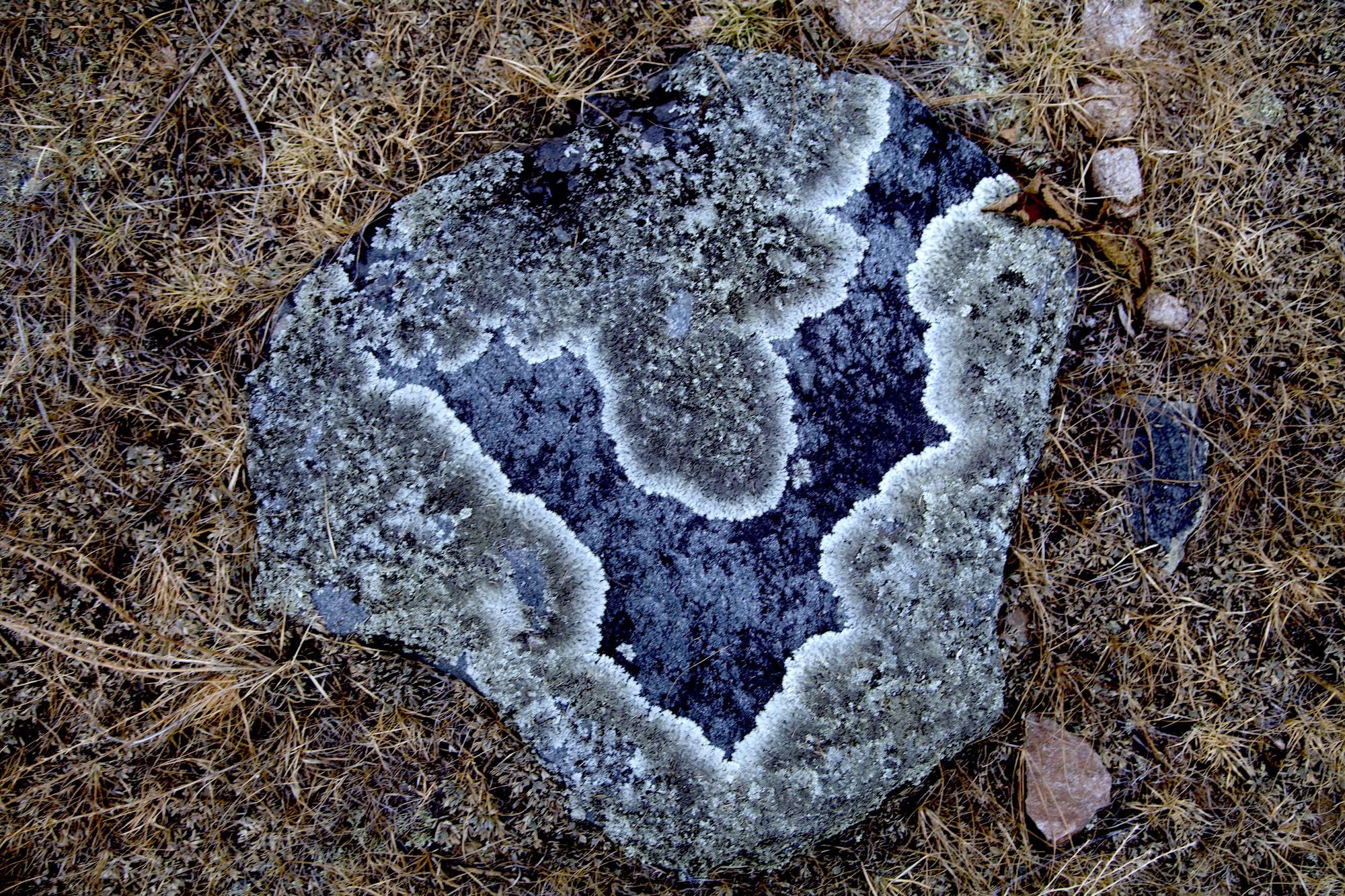 Очарование зимнего Алтая (15/48)