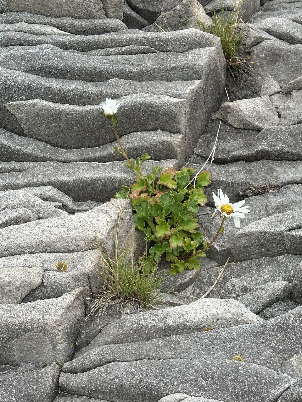 Сахалин+Итуруп 2025 (15/41)