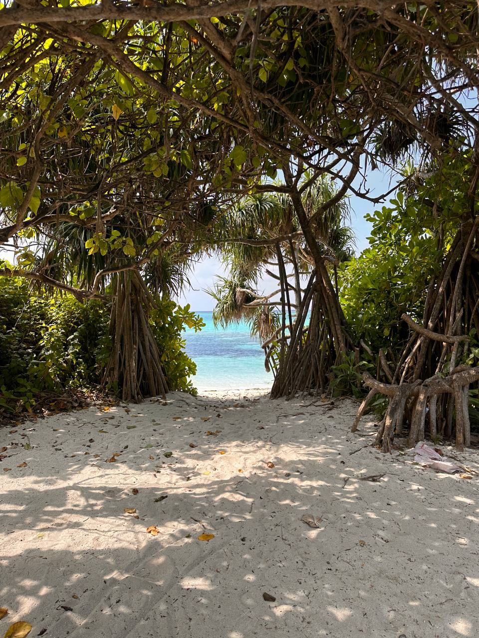 Магические Мальдивы (96/130)