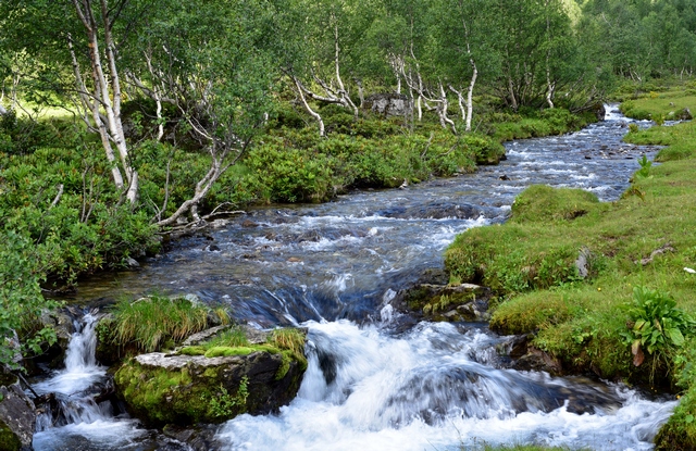 Трекинг-тур Цветущие склоны Архыза. Размещение в отеле (5/40)