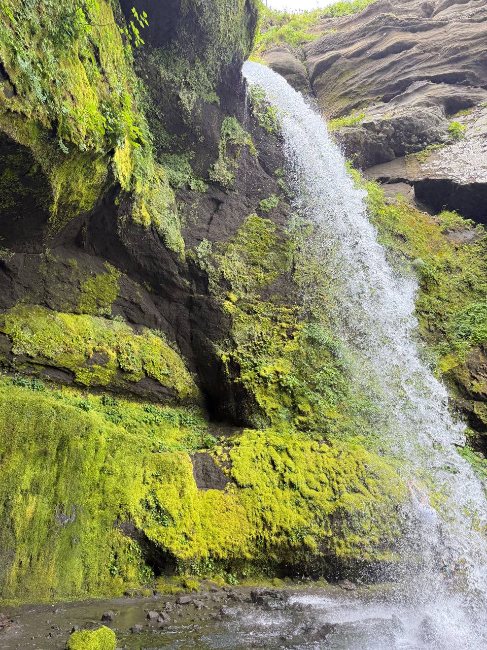 Сахалин+Итуруп 2025 (21/41)