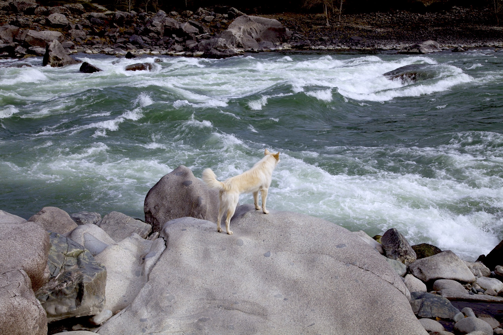 Очарование зимнего Алтая (28/48)
