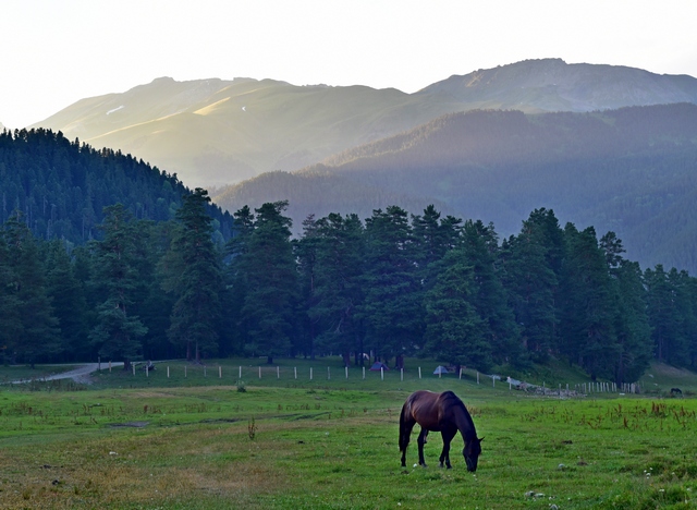 Софийская поляна