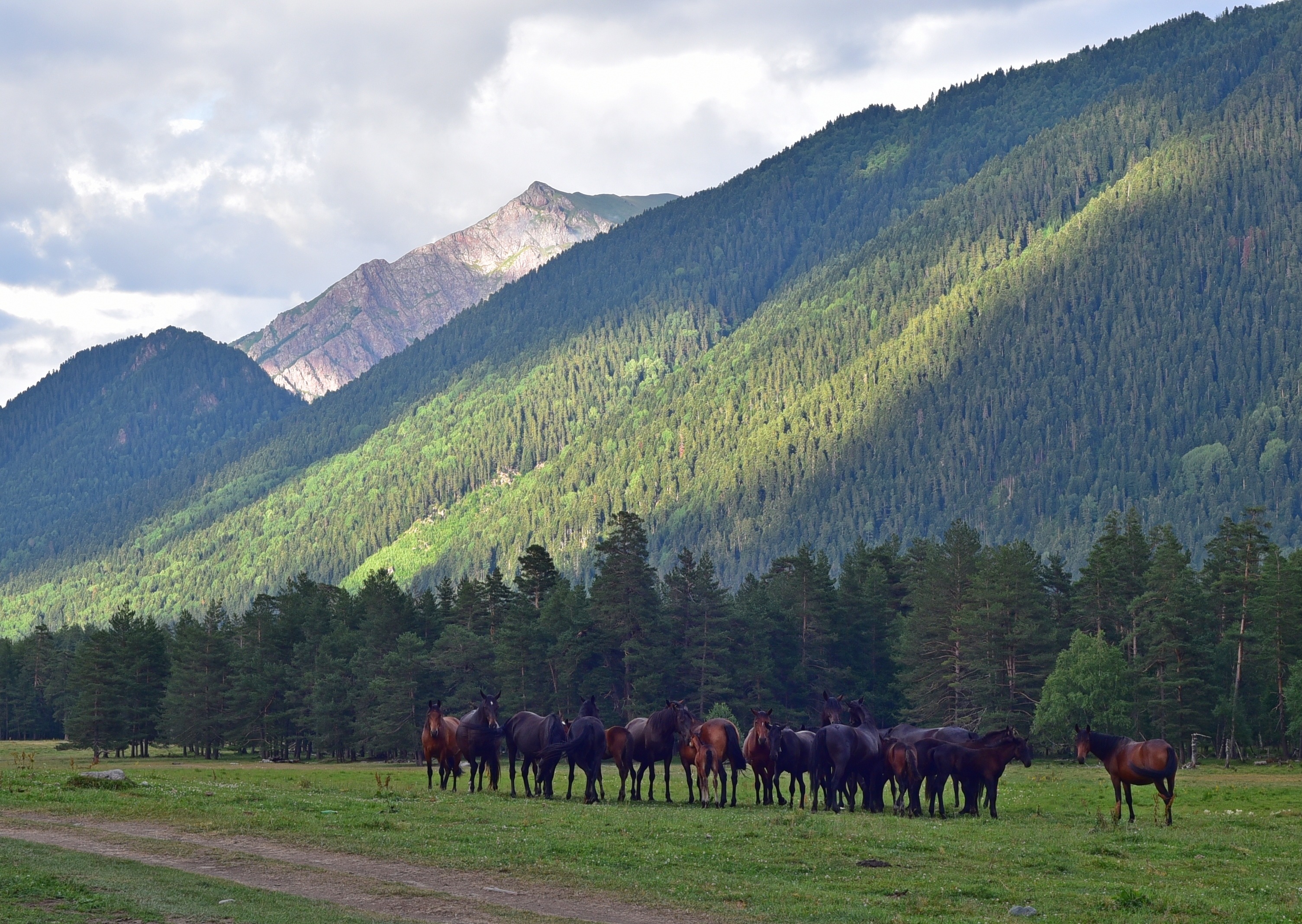 Софийские водопады