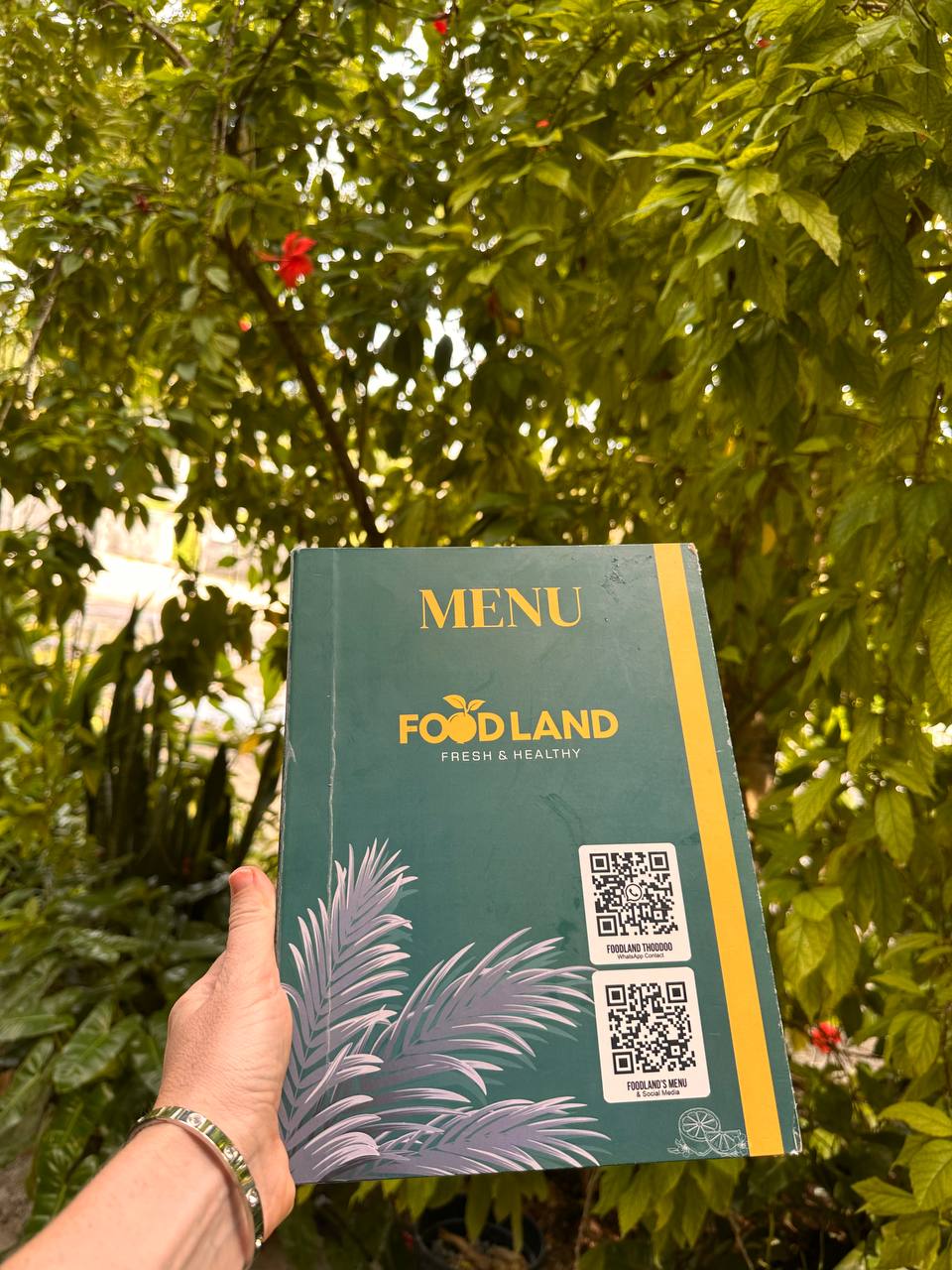 Магические Мальдивы (105/130)