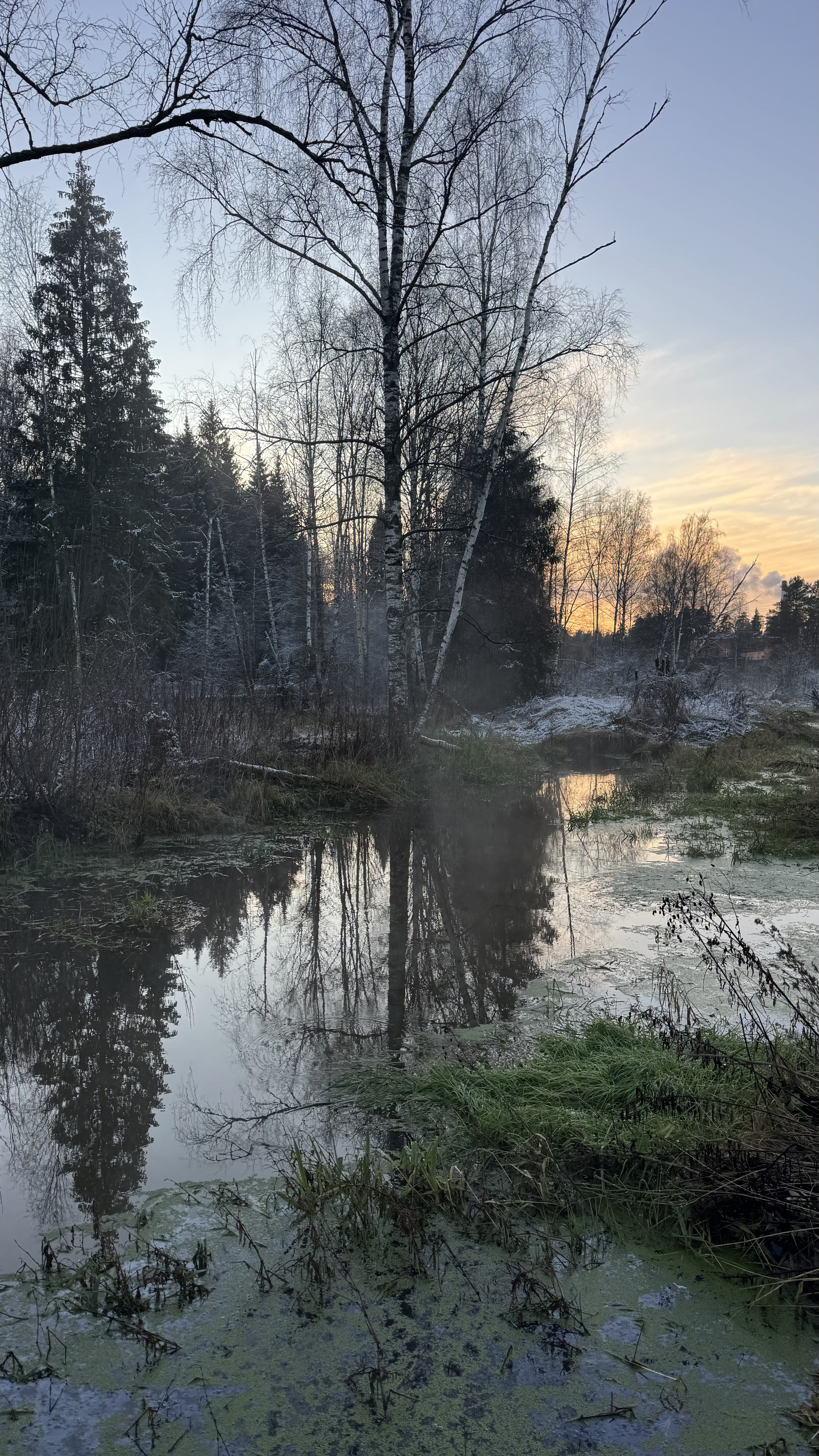 Поход К хорькам и соболям с биологом, Черноголовка (10/18)