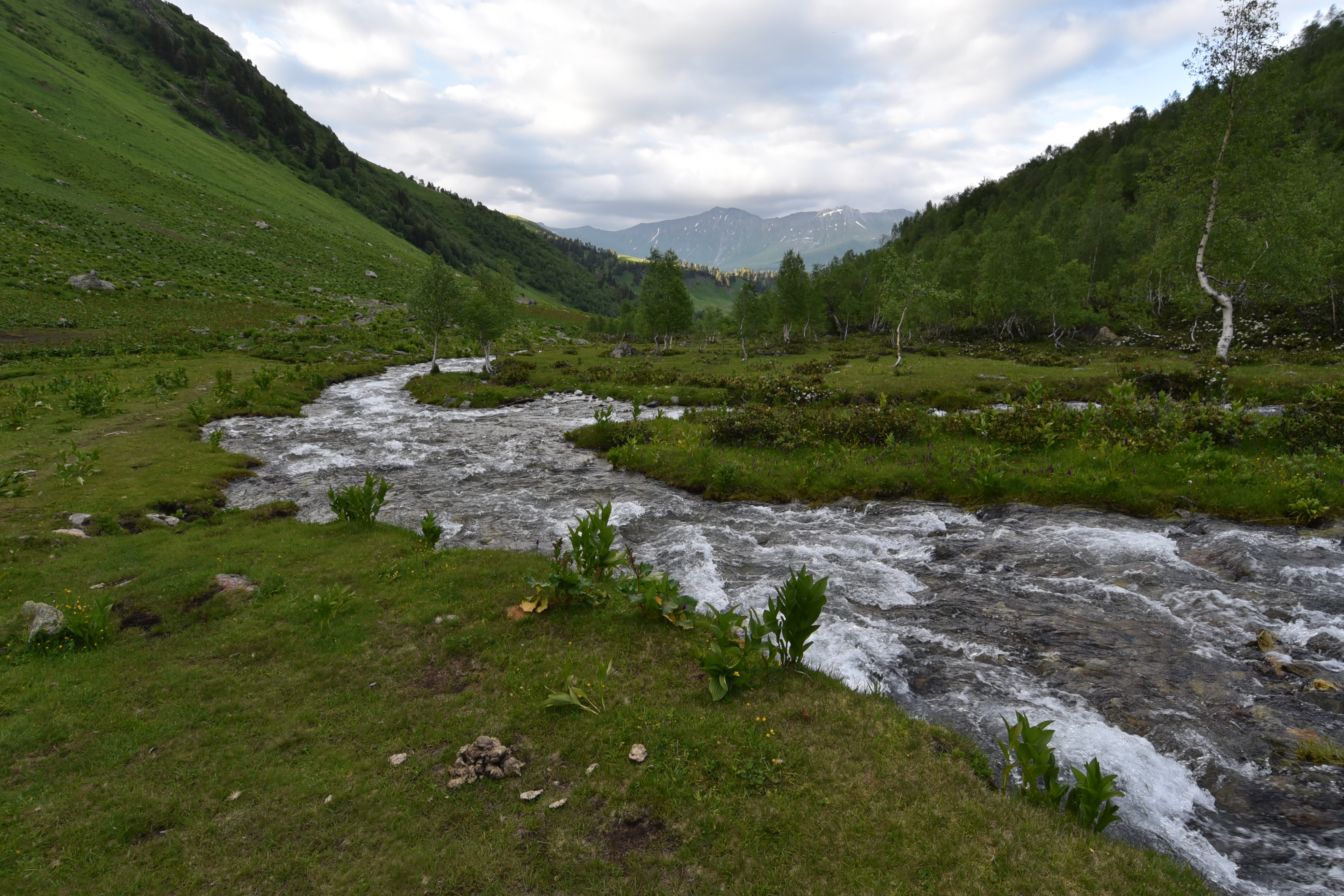 Трекинг-тур Цветущие склоны Архыза. Размещение в отеле (17/40)