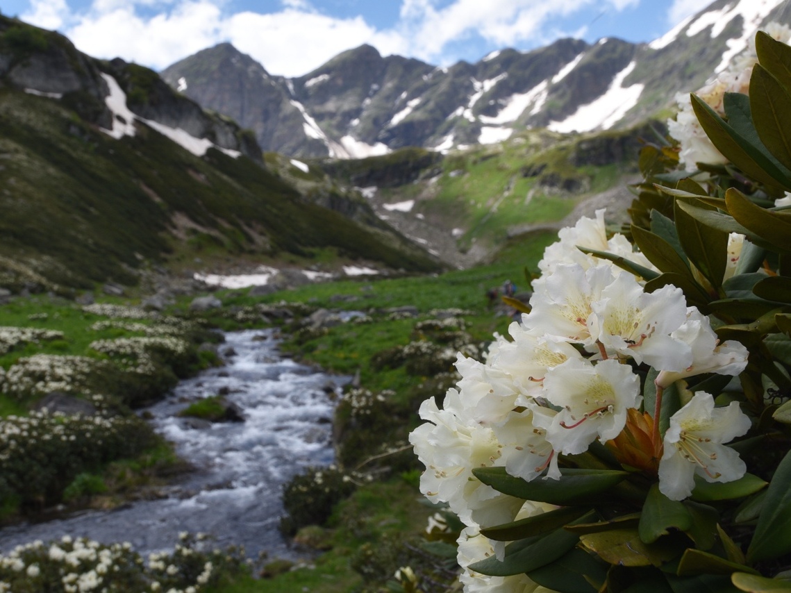 Поход с комфортом по Архызу