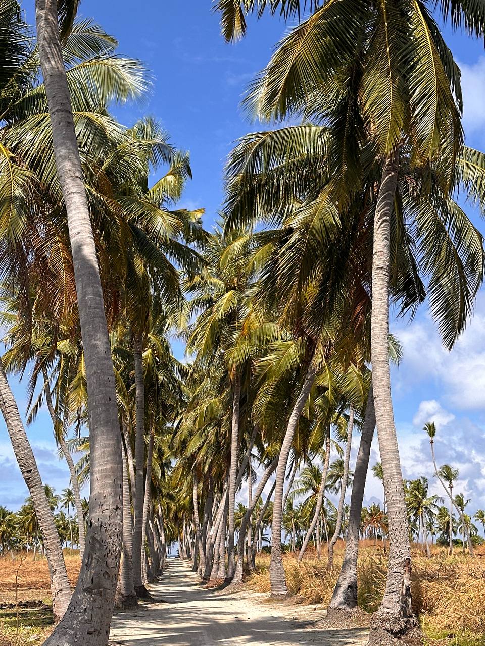 Яркие впечатления