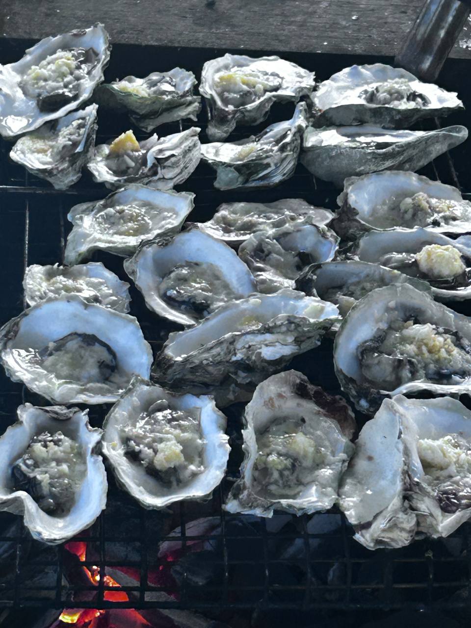 Сахалин+Итуруп 2025 (19/41)