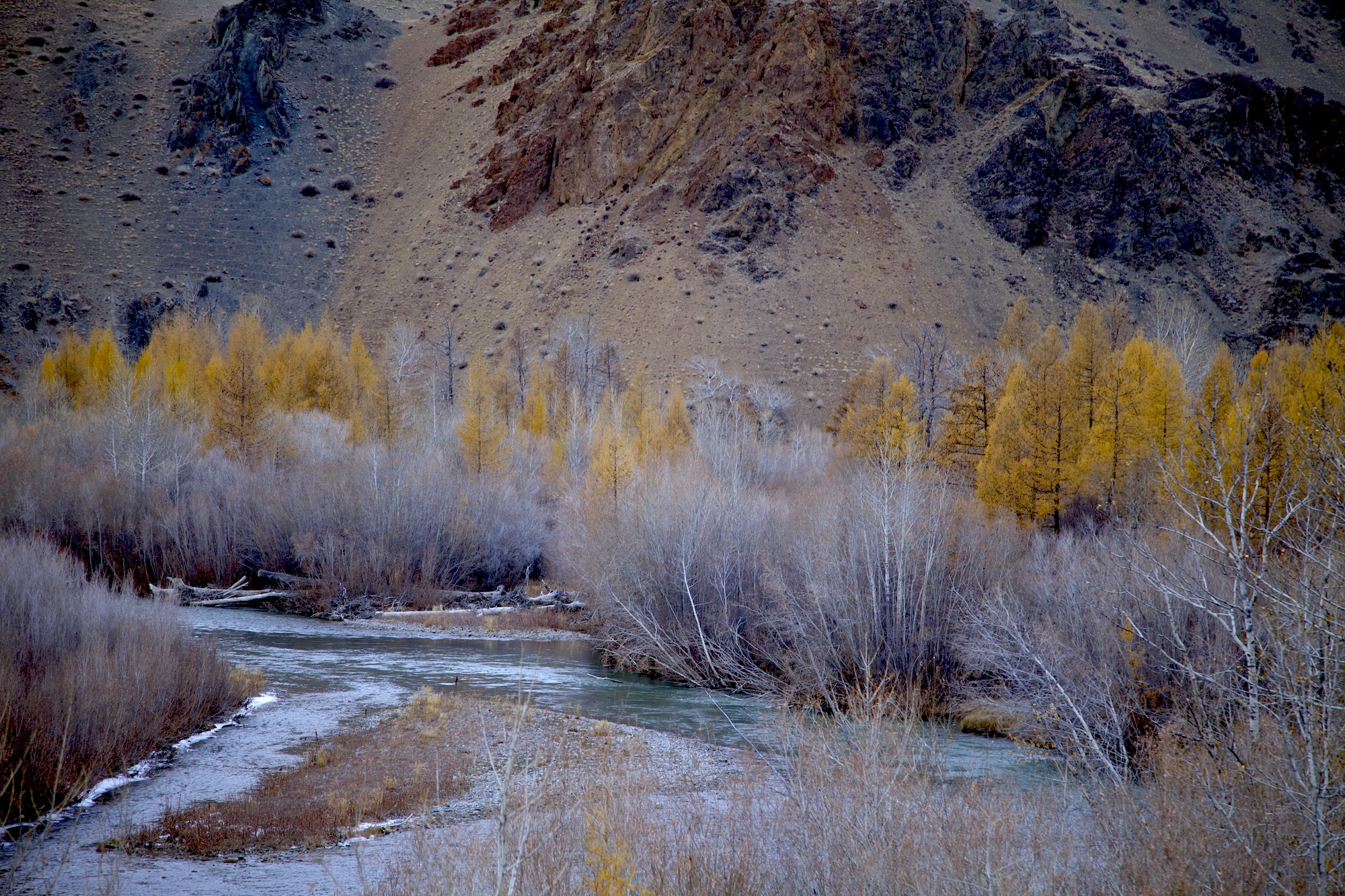 Путешествие к тайнам Горного Алтая (33/111)