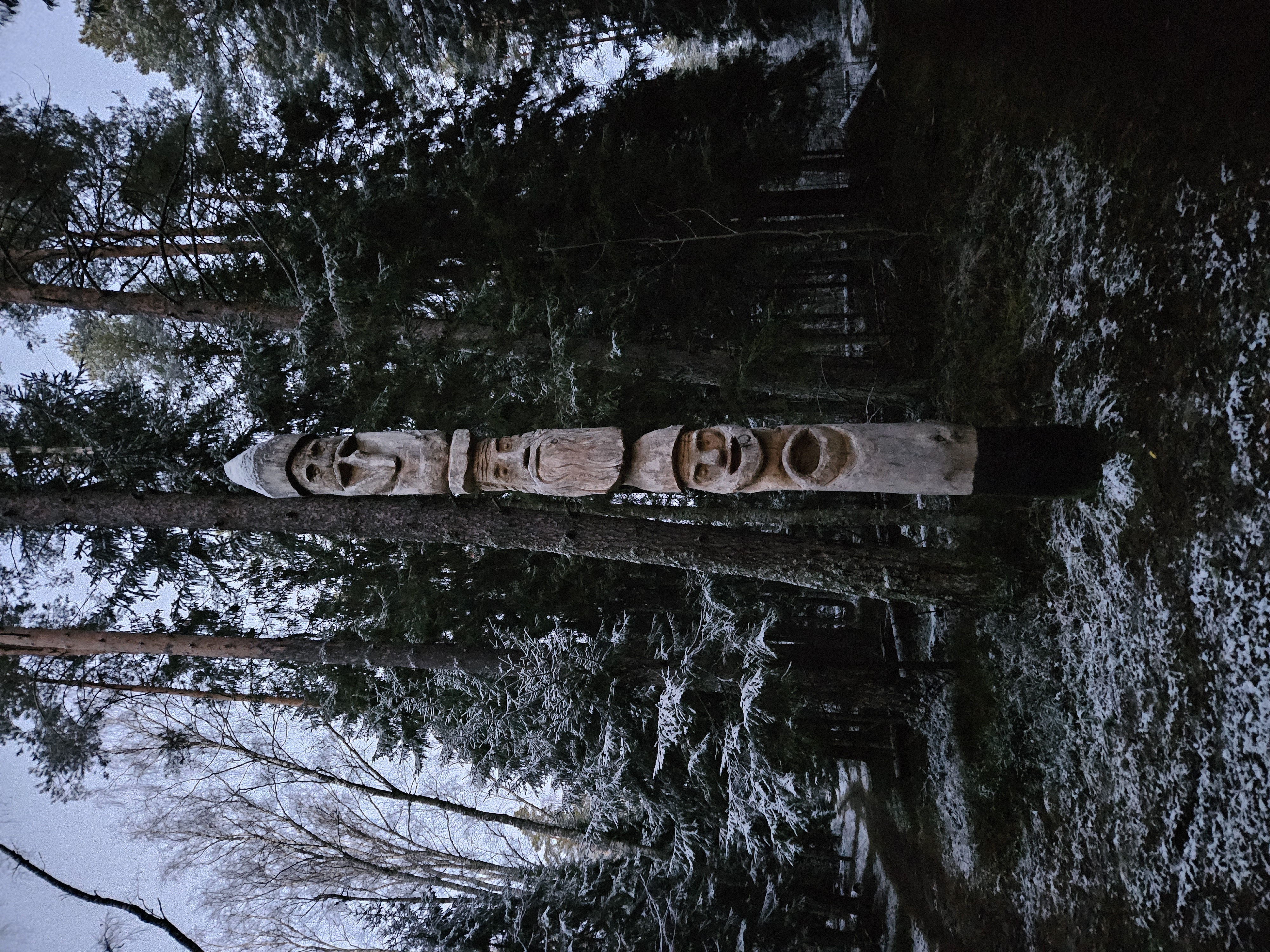 Поход К хорькам и соболям с биологом, Черноголовка (16/18)