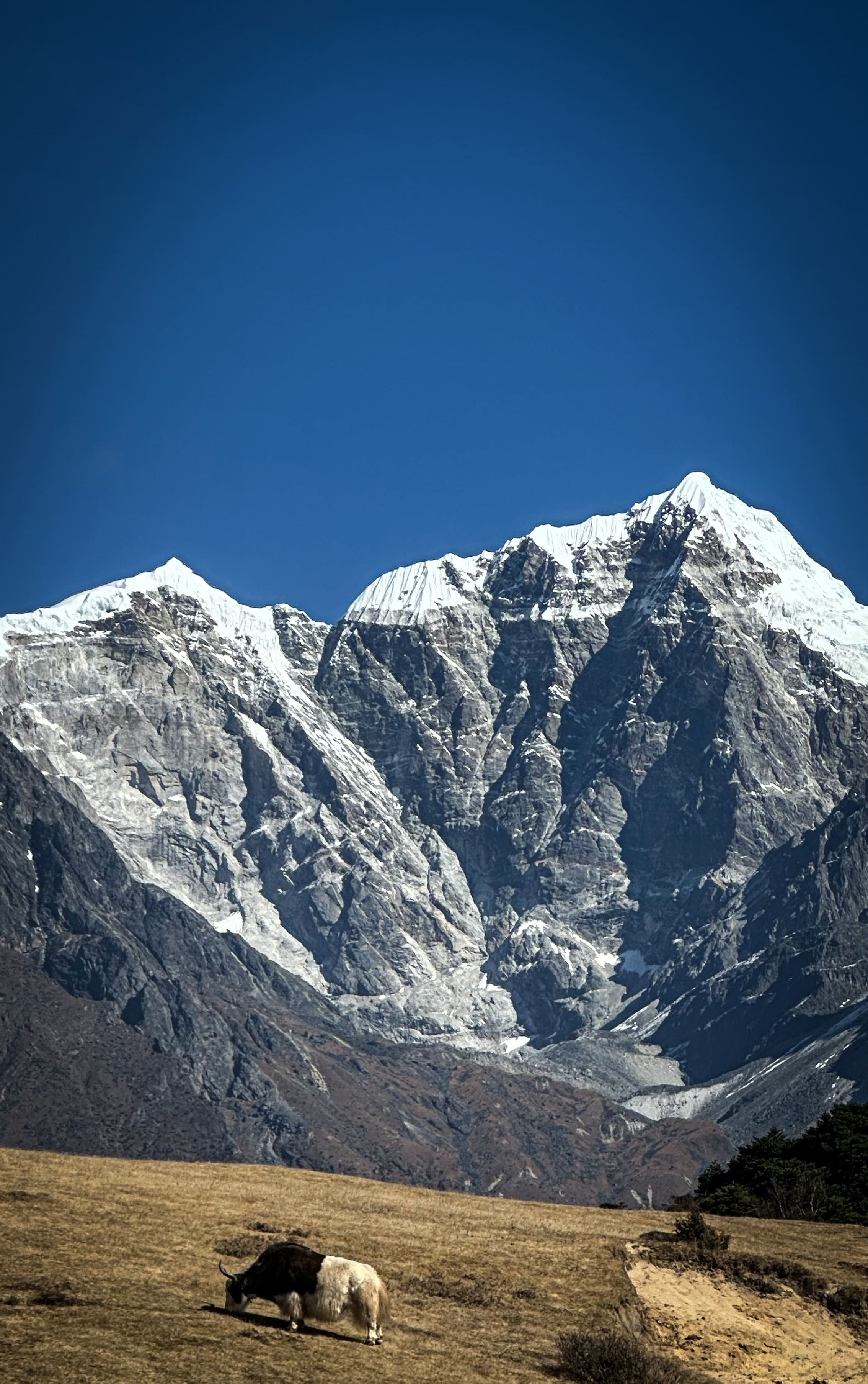 Треккинг к базовому лагерю Эвереста, Непал (9/62)