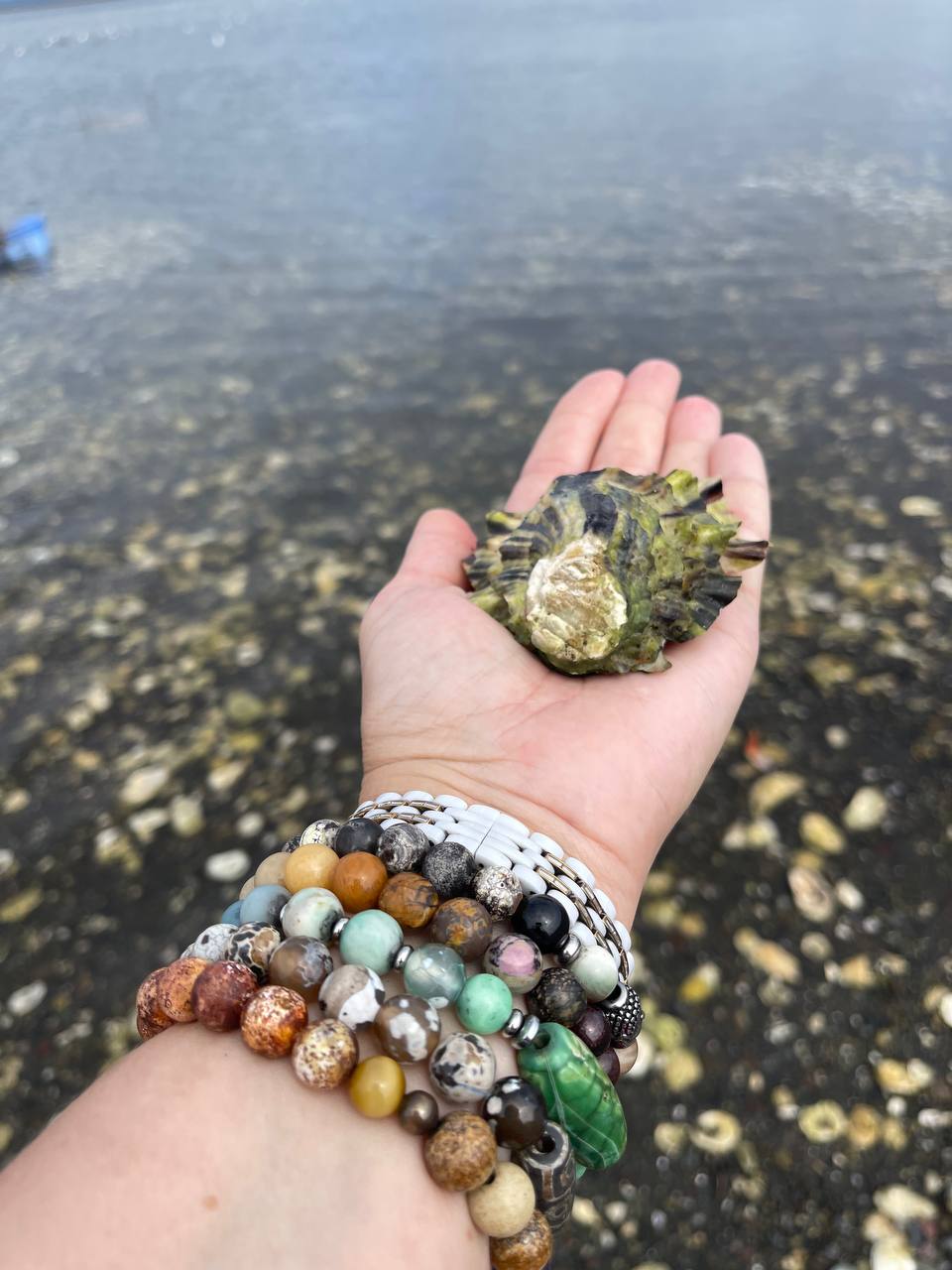 Сахалин+Итуруп 2025 (18/41)