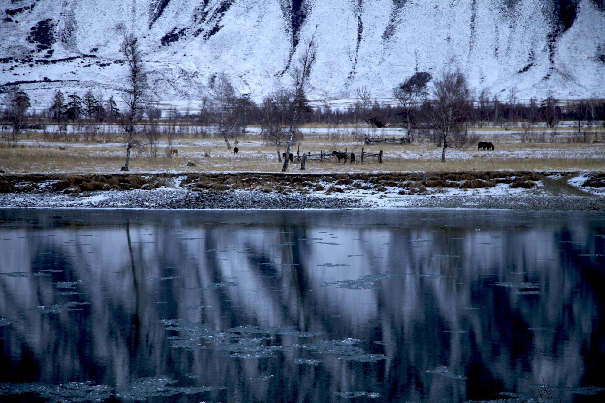 Очарование зимнего Алтая (27/48)