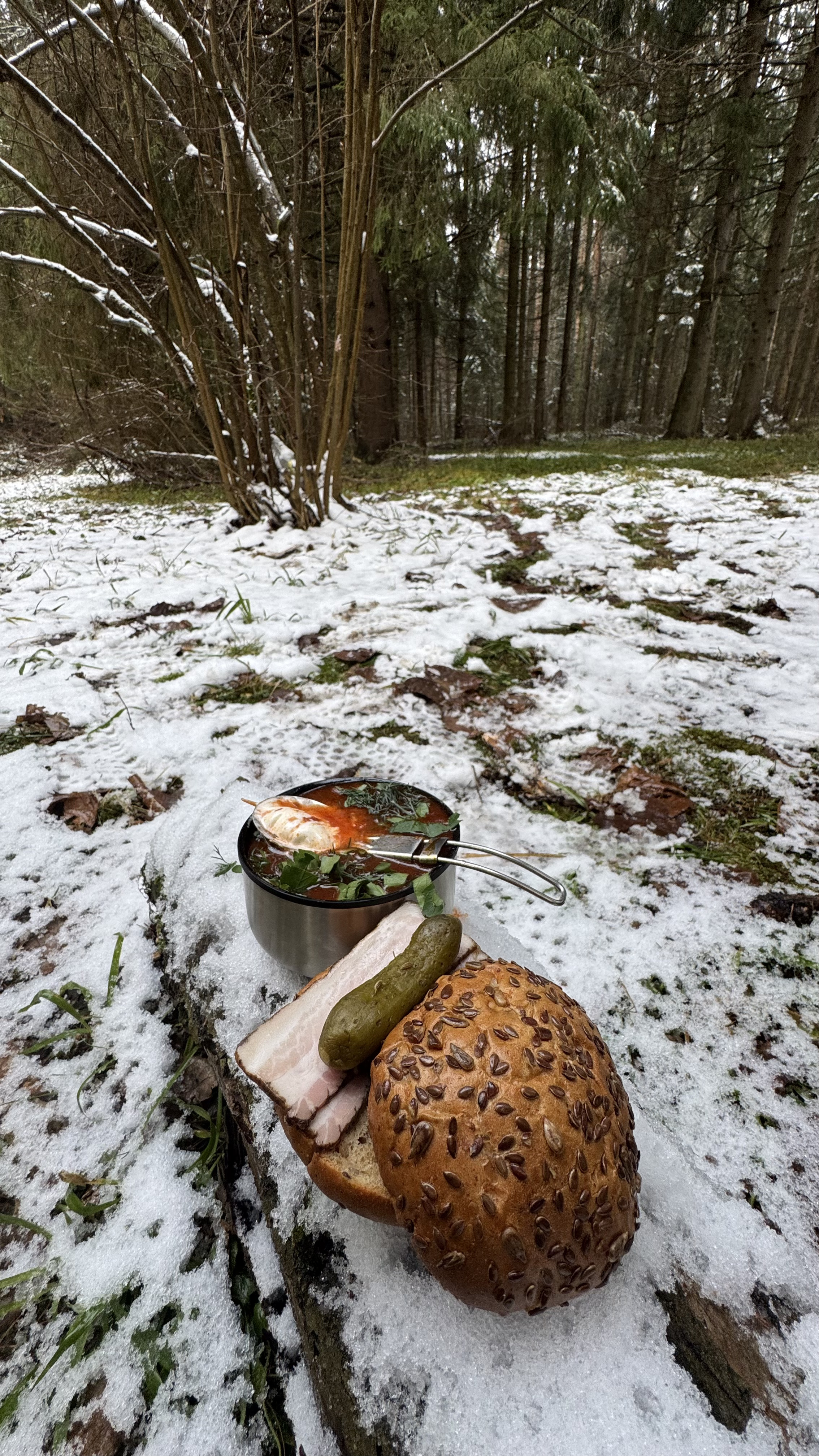 Поход К хорькам и соболям с биологом, Черноголовка (17/18)