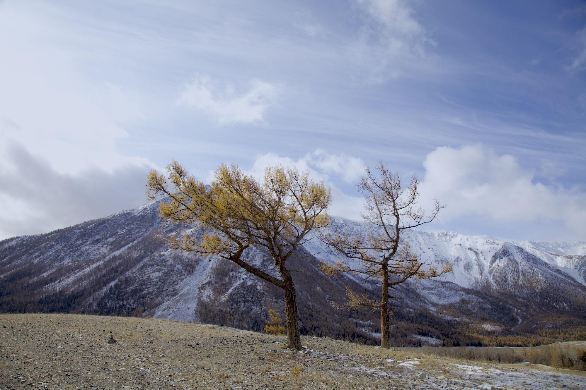 Путешествие к тайнам Горного Алтая (35/111)