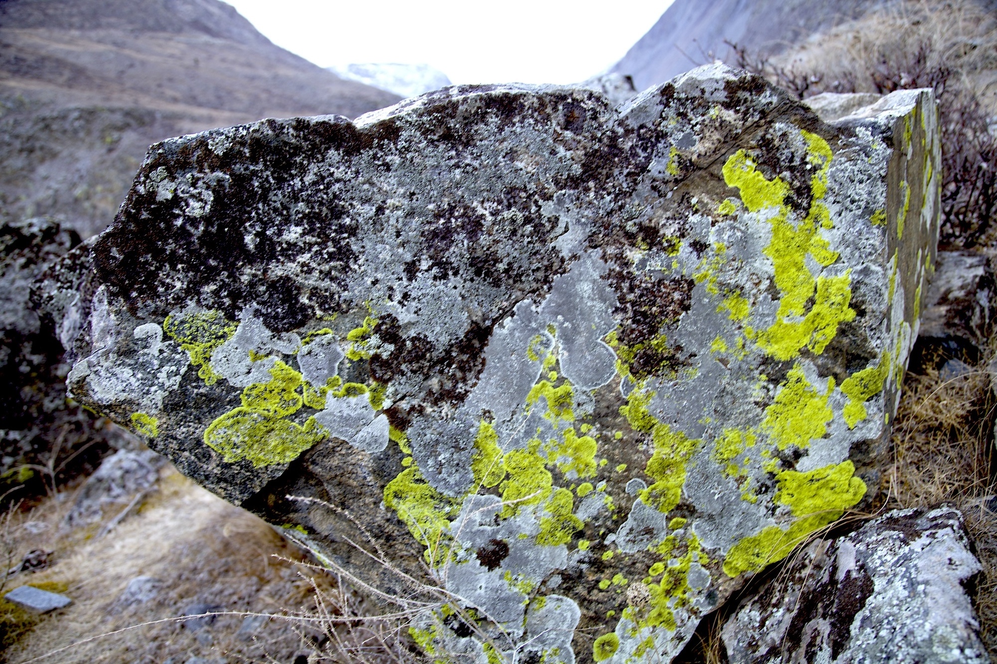 Очарование зимнего Алтая (16/48)