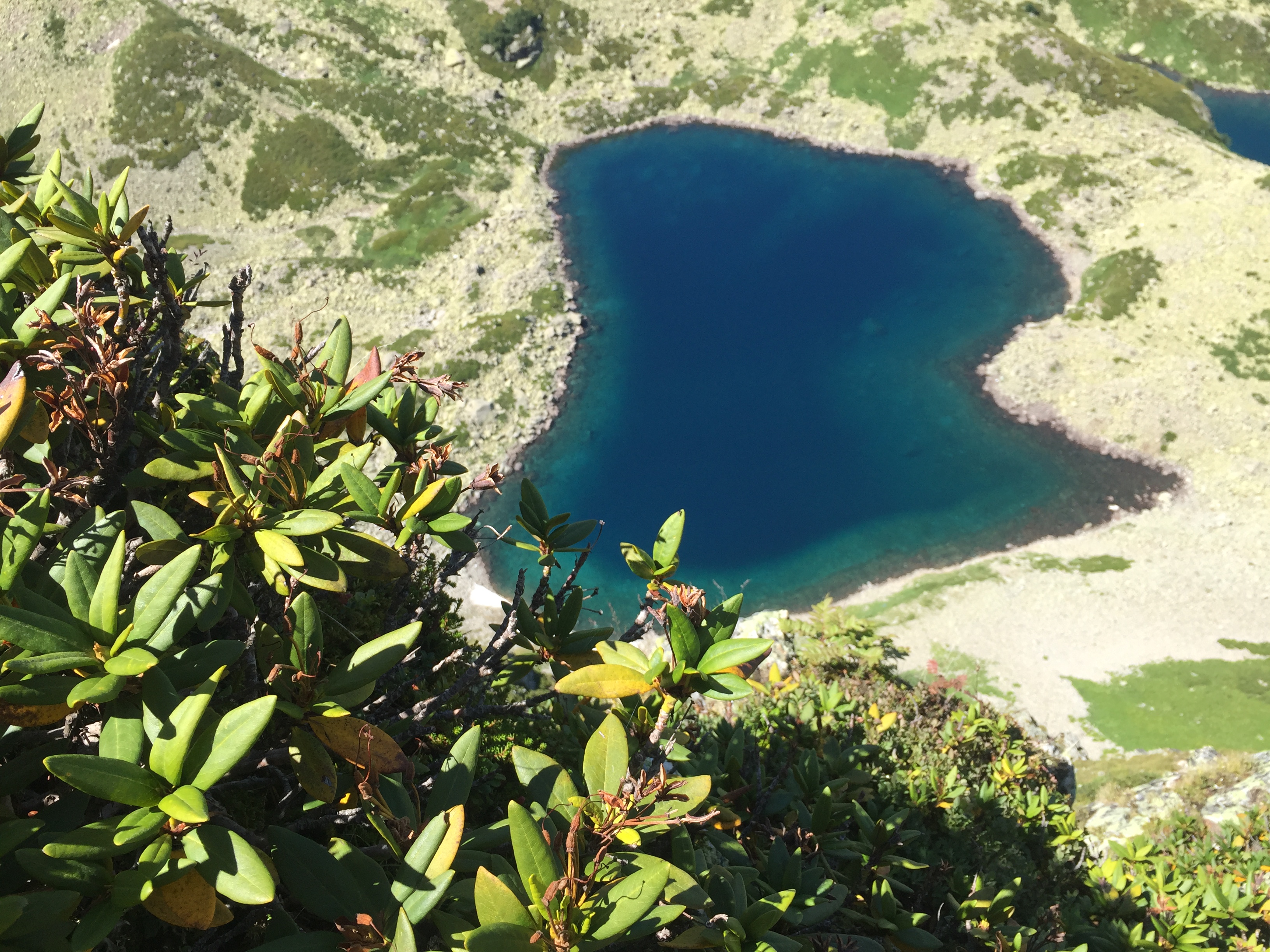 Трекинг-тур Цветущие склоны Архыза. Размещение в отеле (18/40)