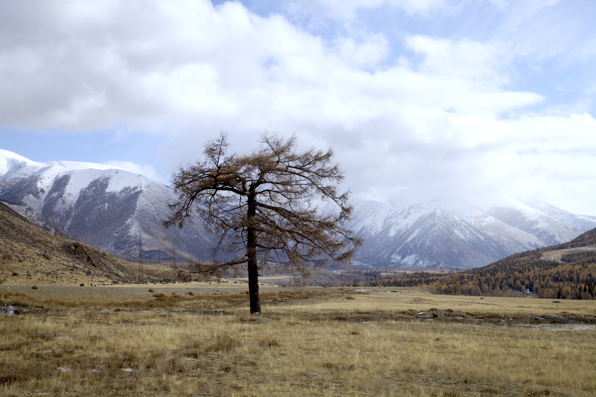 Путешествие к тайнам Горного Алтая (30/111)
