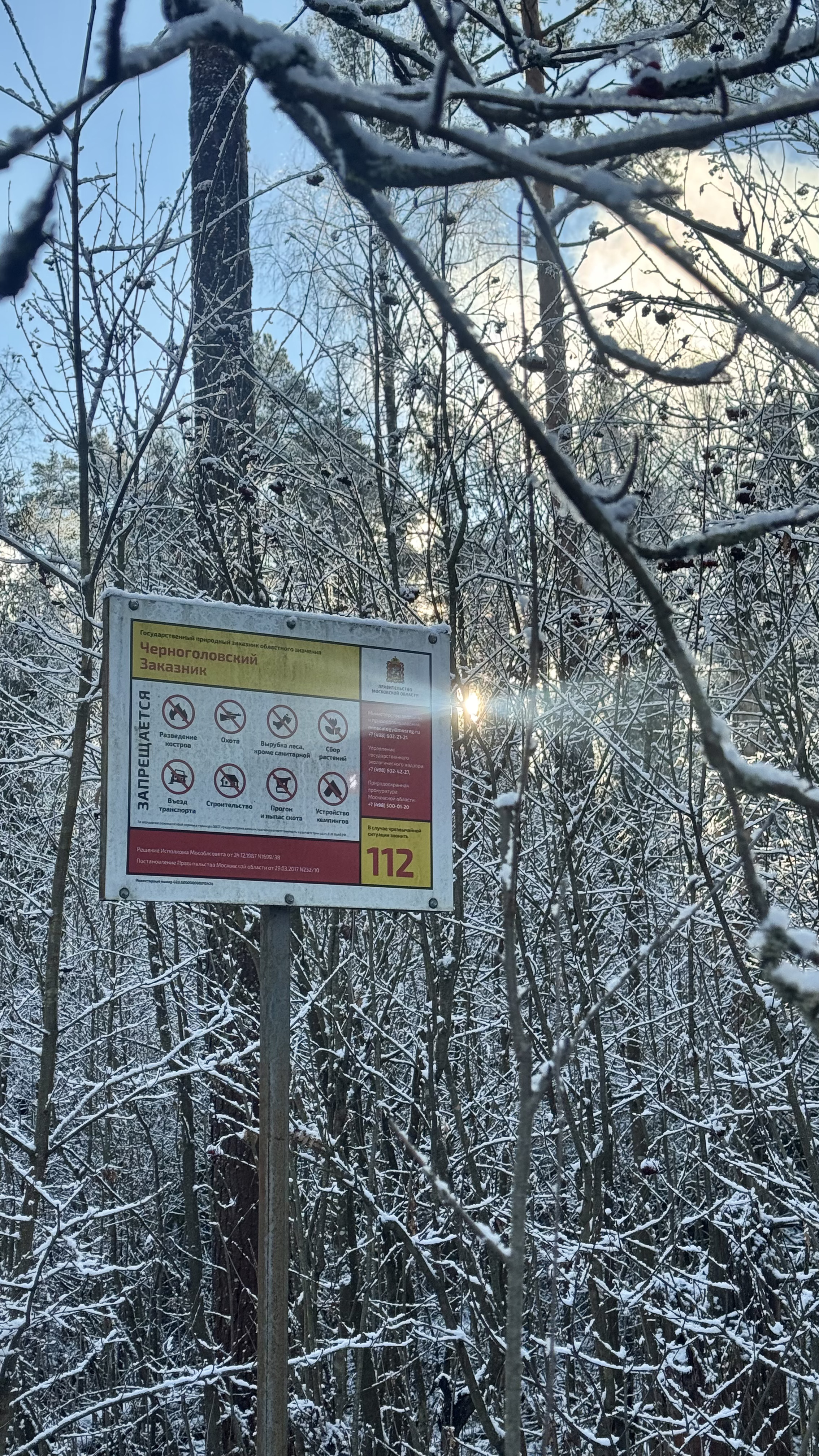 Поход К хорькам и соболям с биологом, Черноголовка (7/18)