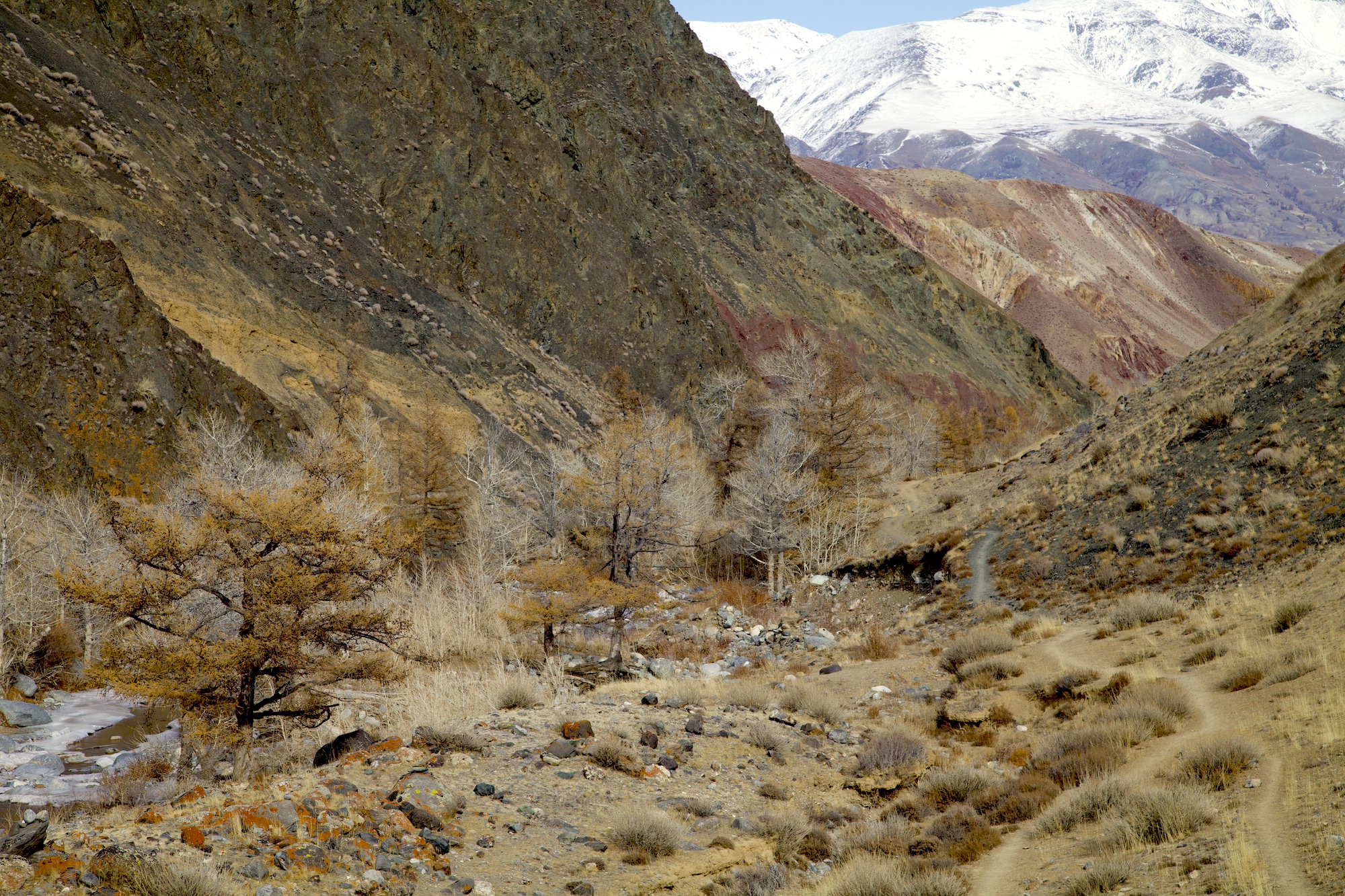 Путешествие к тайнам Горного Алтая (24/111)