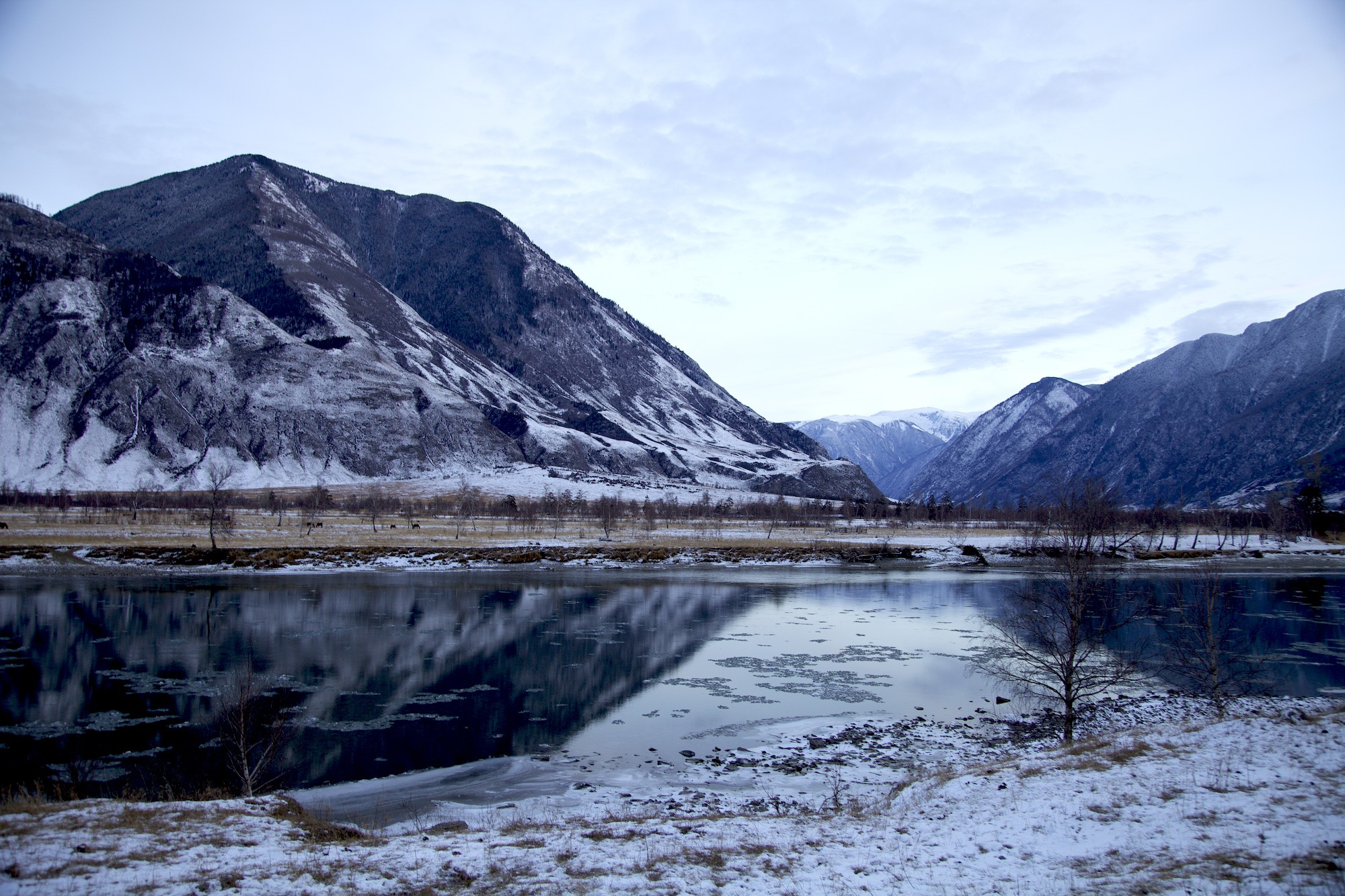 Очарование зимнего Алтая (23/48)
