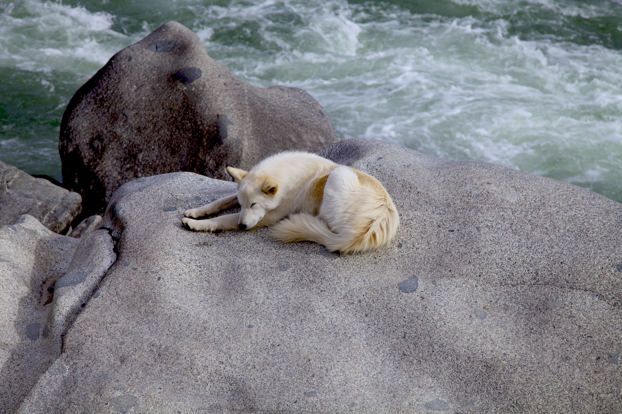 Очарование зимнего Алтая (29/48)