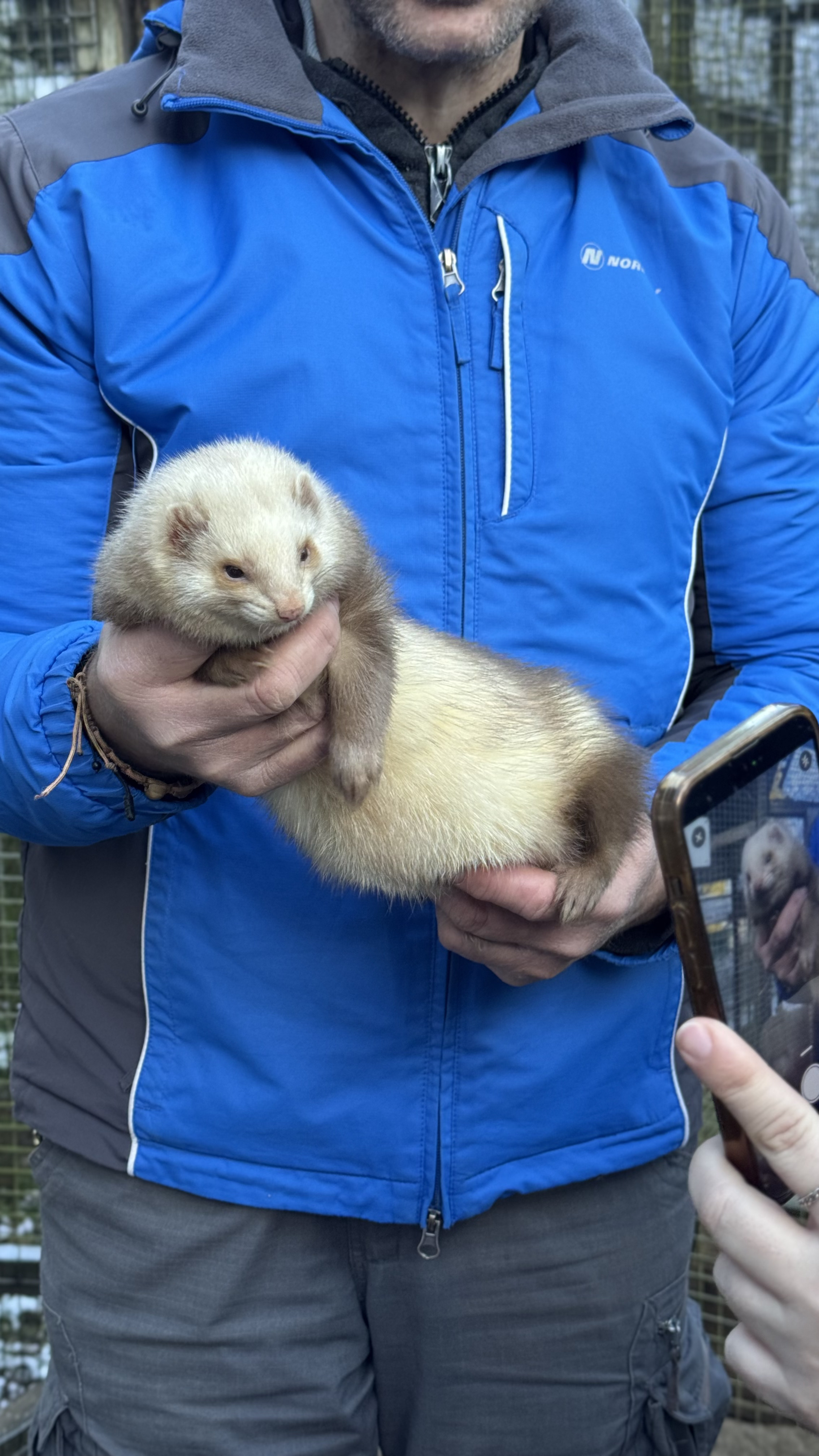 Поход К хорькам и соболям с биологом, Черноголовка (5/18)