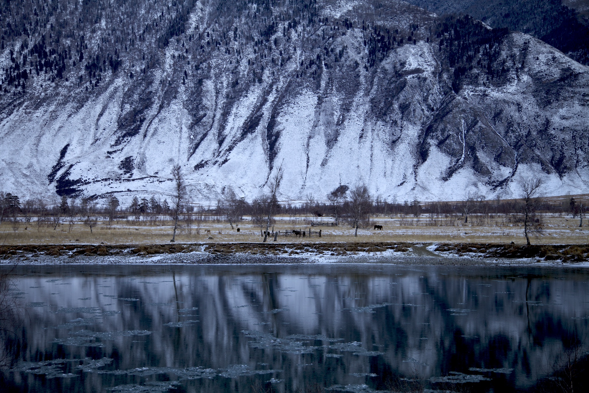 Очарование зимнего Алтая (25/48)