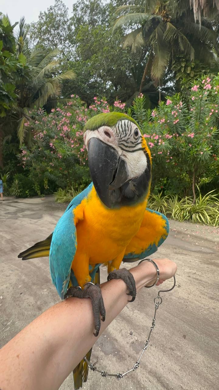 Магические Мальдивы (100/130)