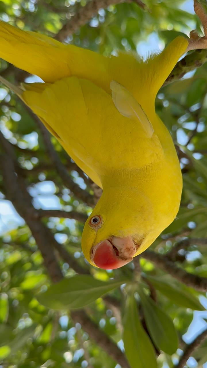 Магические Мальдивы (93/130)